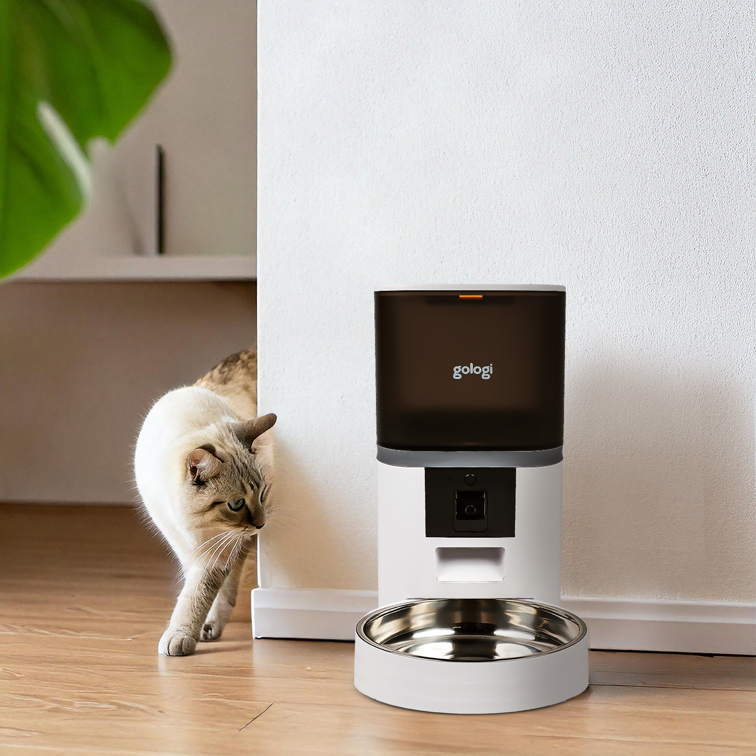 Automatische voerbak Eva - modernized.nl