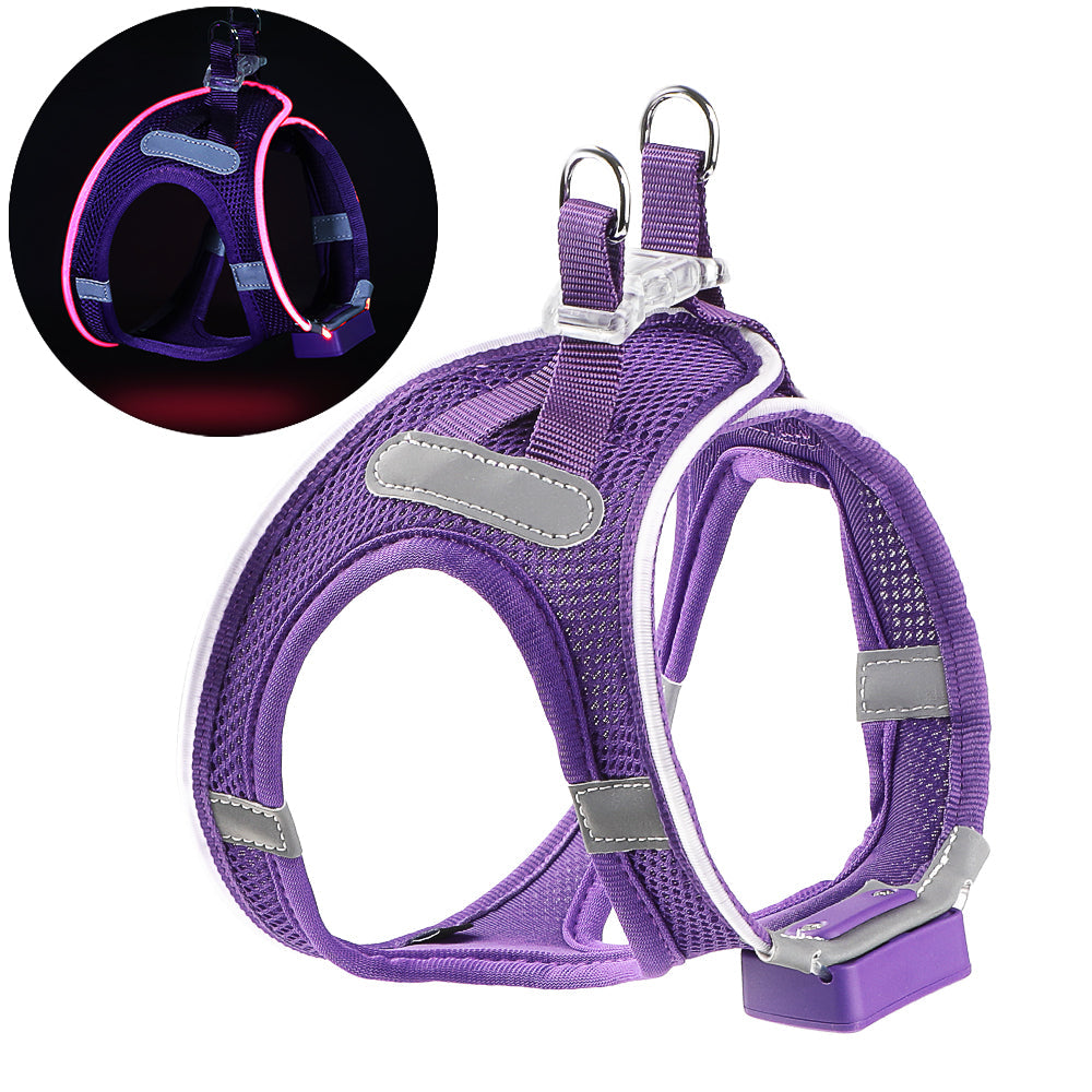 GlowGuard LED verlichte Hondenharnas voor kleine honden | Paars