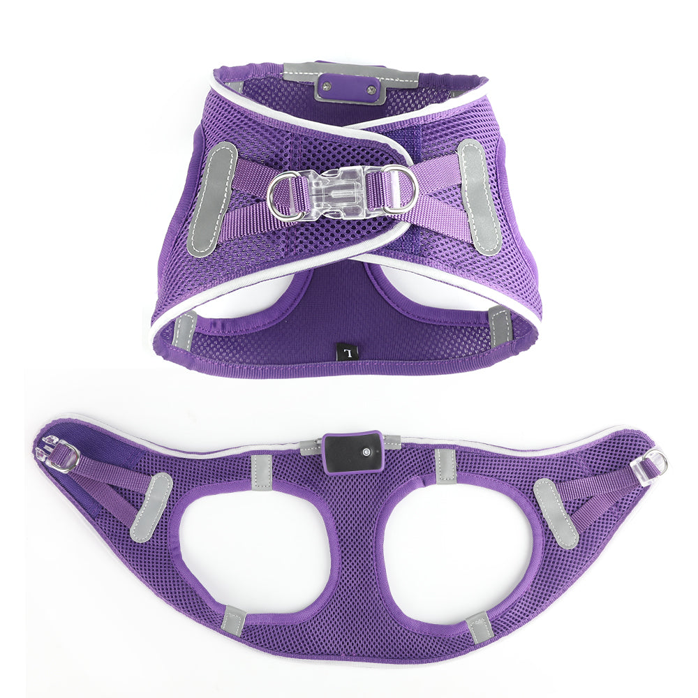 GlowGuard LED verlichte Hondenharnas voor kleine honden | Paars