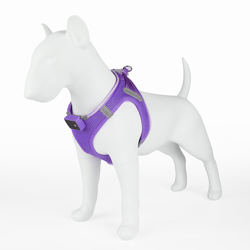 GlowGuard LED verlichte Hondenharnas voor kleine honden | Paars