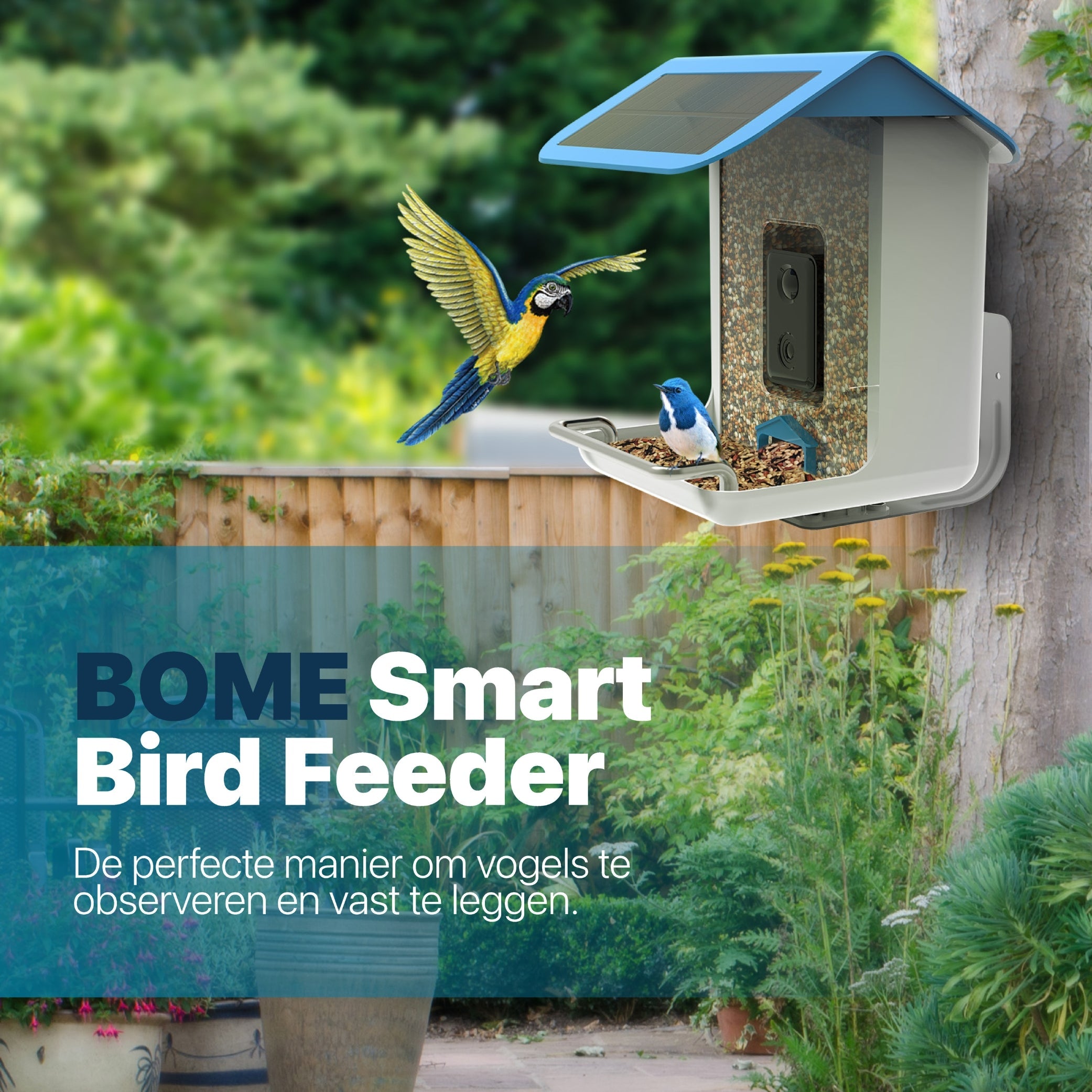 Interaktives Vogelhaus mit Kamera und Audio - AI-gestützte Vogelidentifikation - Hängendes Design - modernized.nl