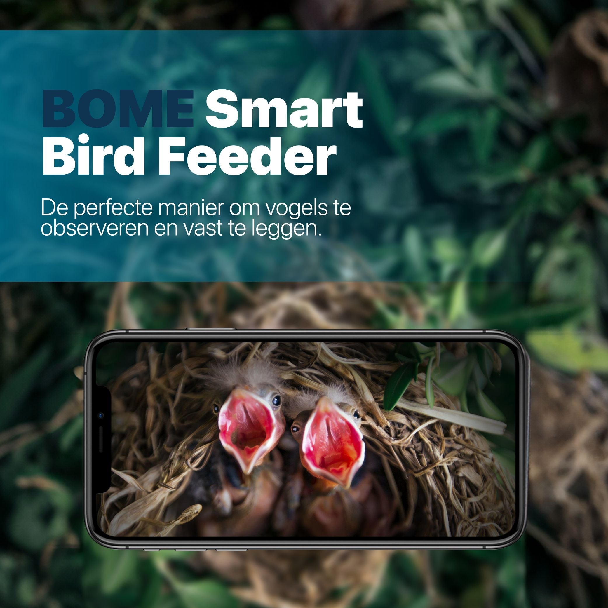 Moderne Vogelhuis met Camera en Geluid - Houten Nestkast met Zonne-energievoorziening - modernized.nl