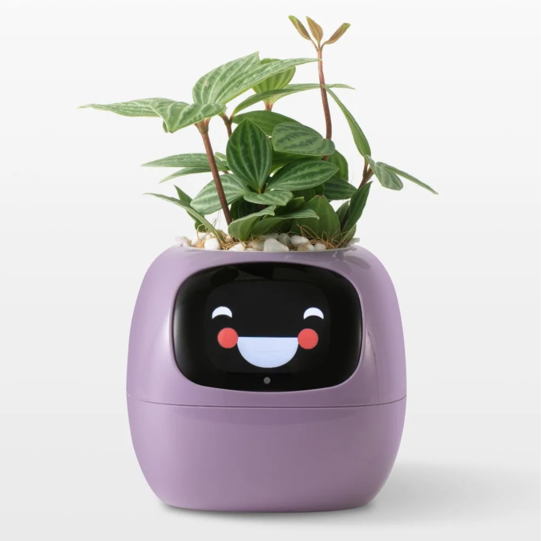 PlantenVriend β Interactieve Slimme Bloempot - modernized.nl