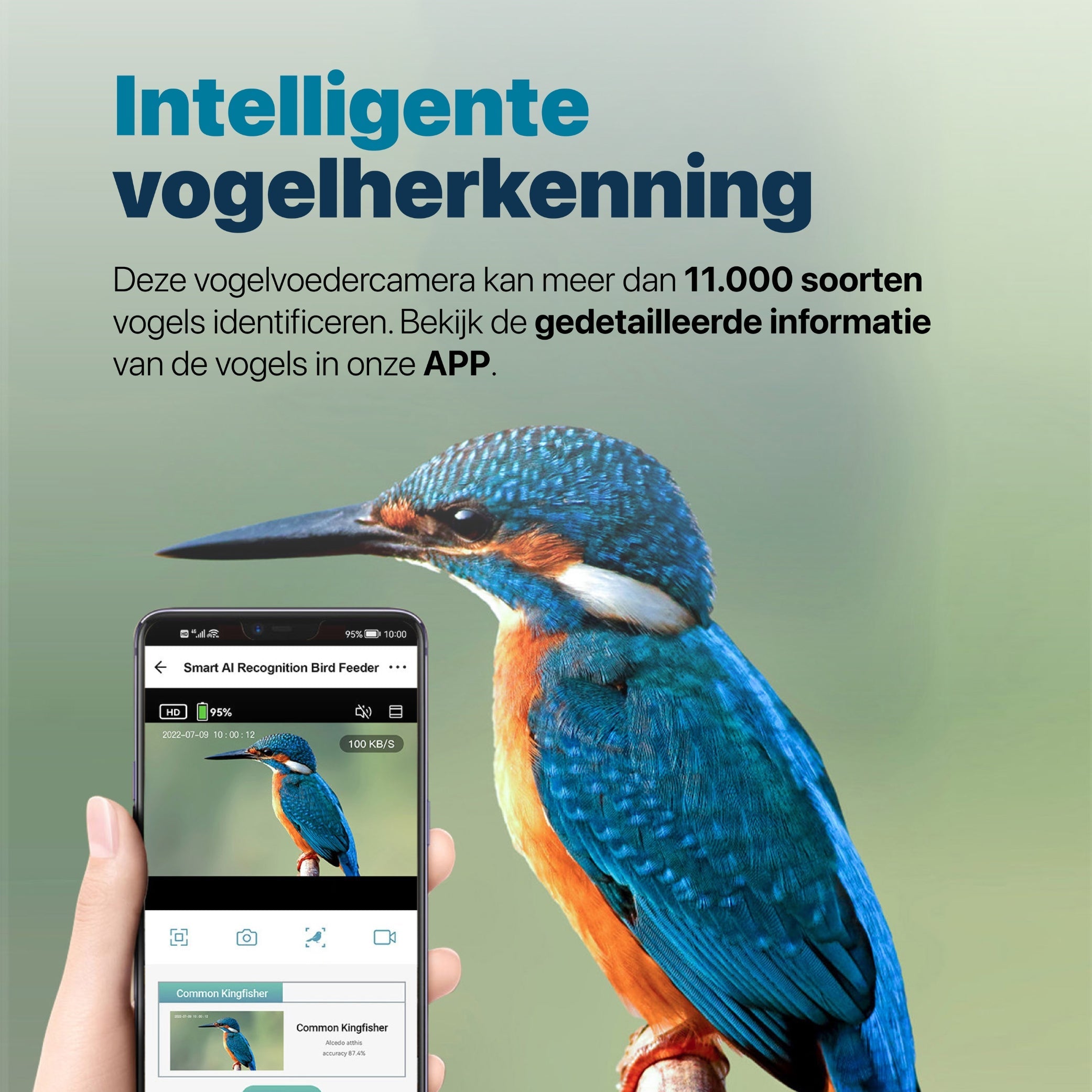 Premium Vogelvoederhuis met Camera en Audio - Slimme AI Vogelherkenning - Duurzaam Hout - Dubbel Zonnepaneel - Hangend Design - modernized.nl