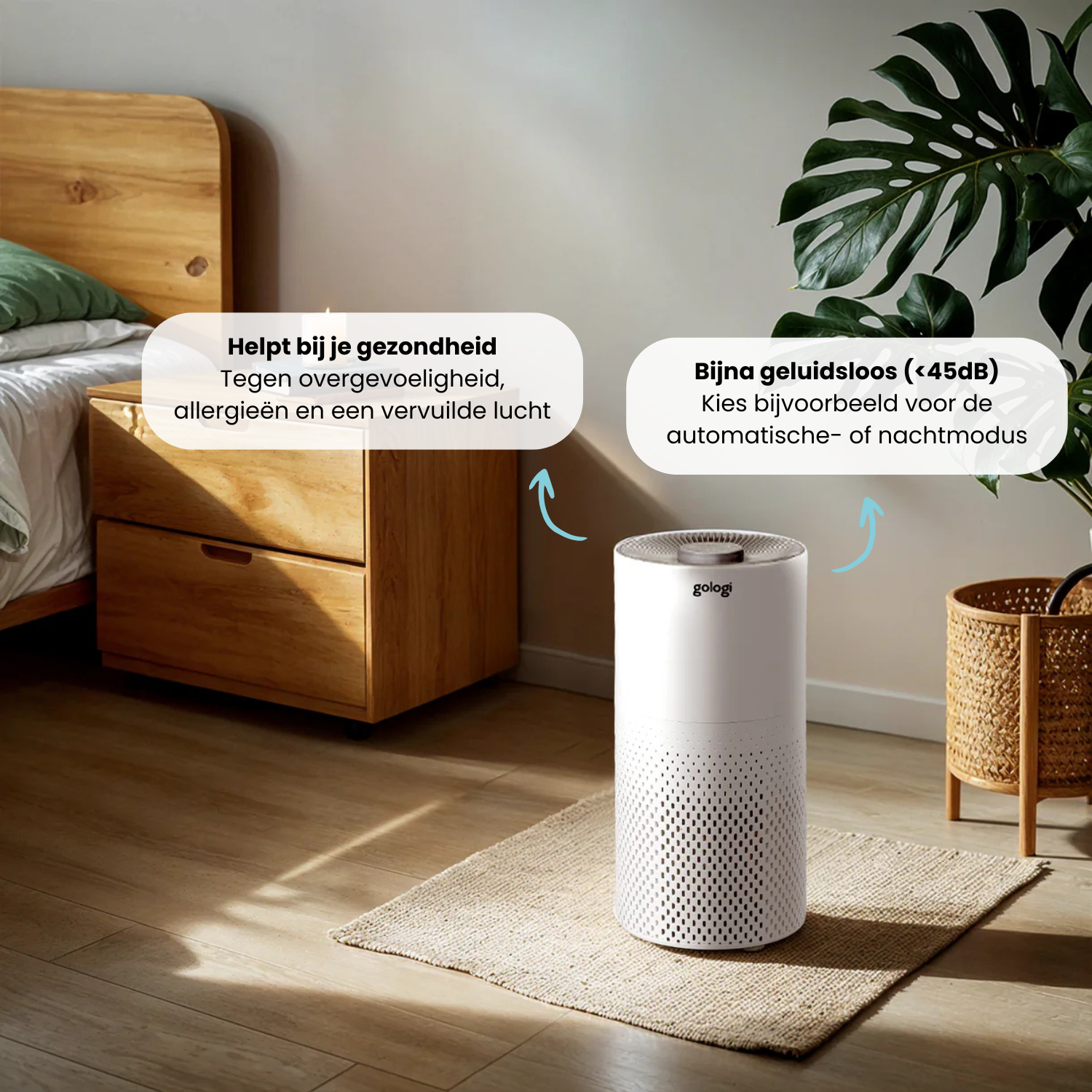 Luchtreiniger met HEPA13 filter