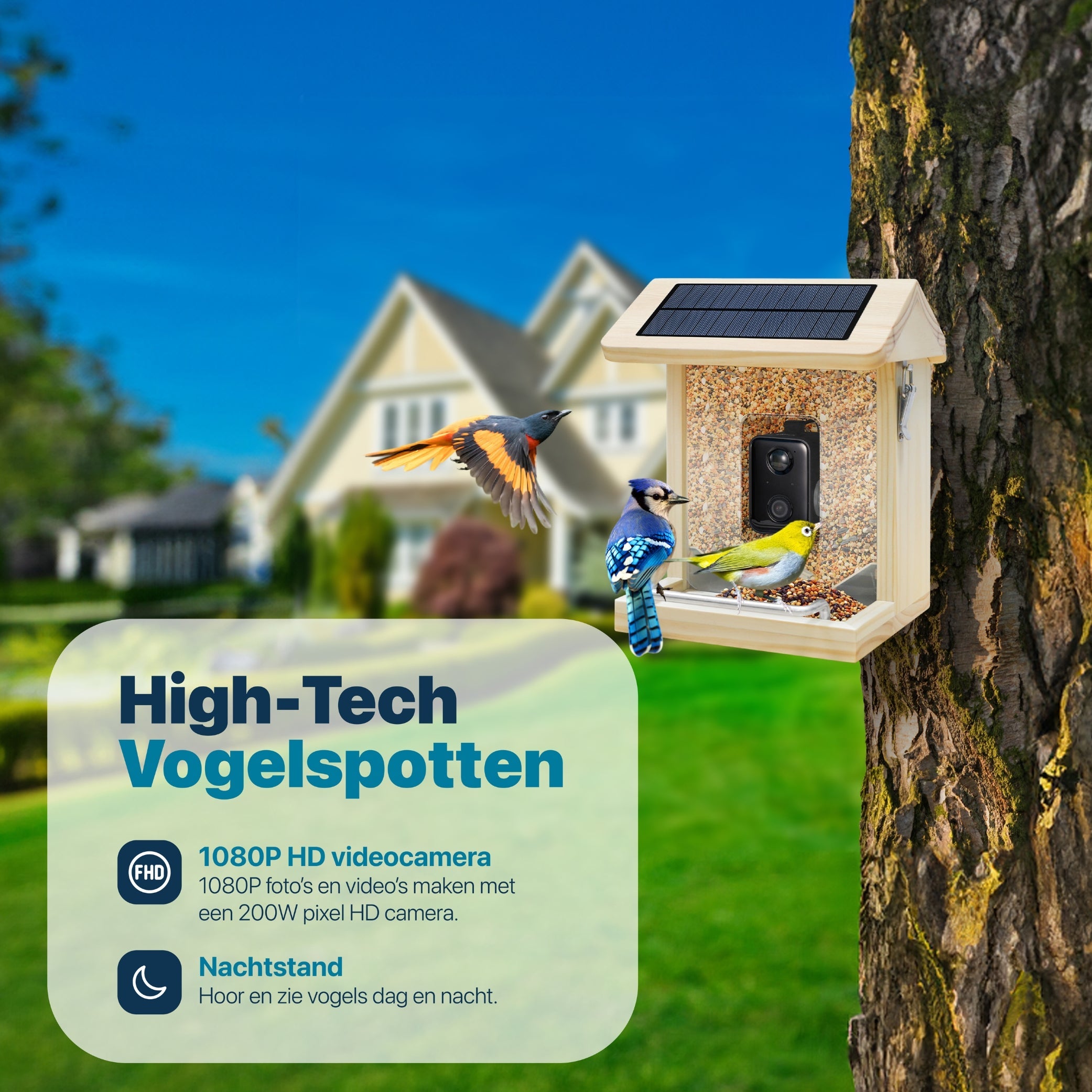 Premium Vogelvoederhuis met Camera en Audio - Slimme AI Vogelherkenning - Duurzaam Hout - Dubbel Zonnepaneel - Hangend Design - modernized.nl
