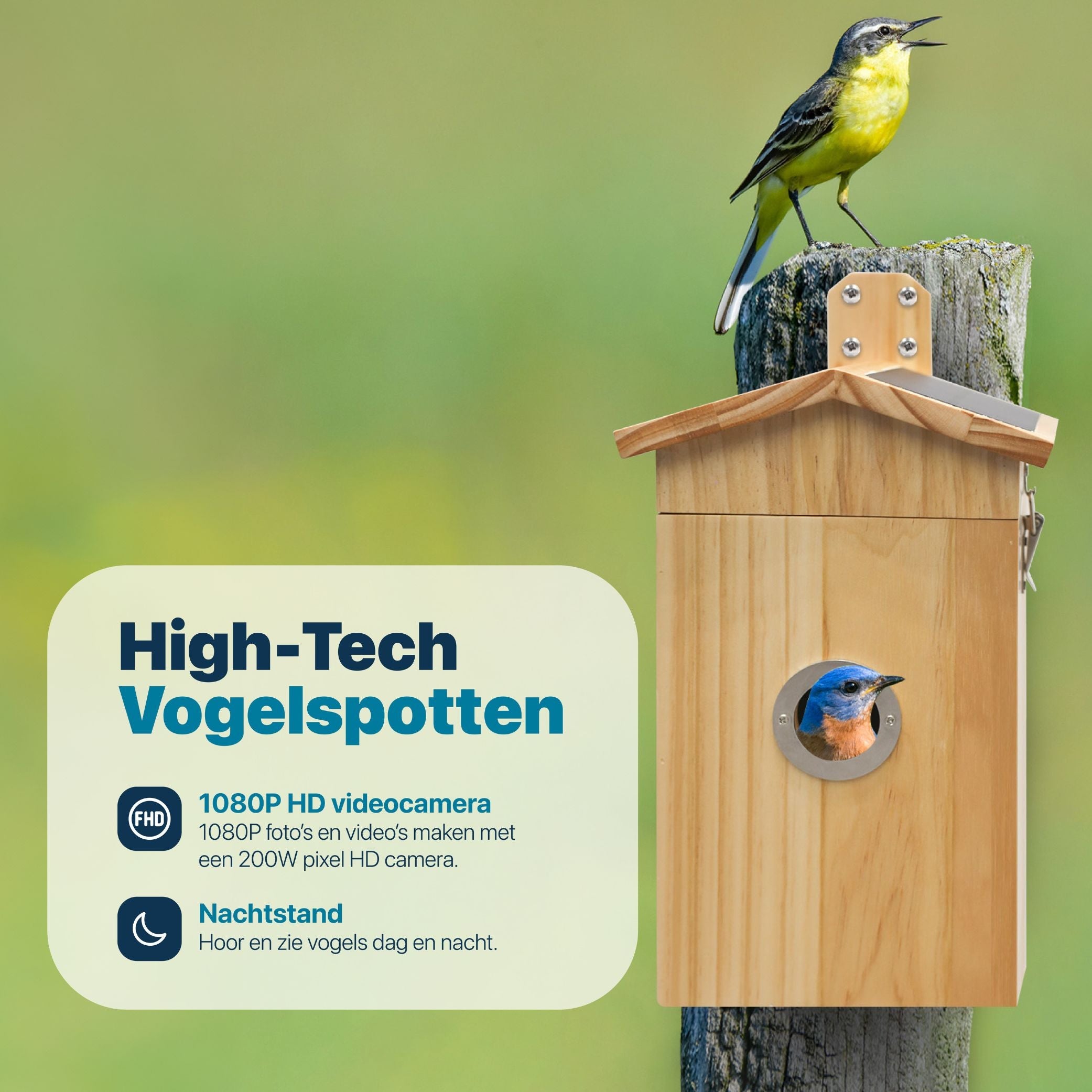 Moderne Vogelhuis met Camera en Geluid - Houten Nestkast met Zonne-energievoorziening - modernized.nl