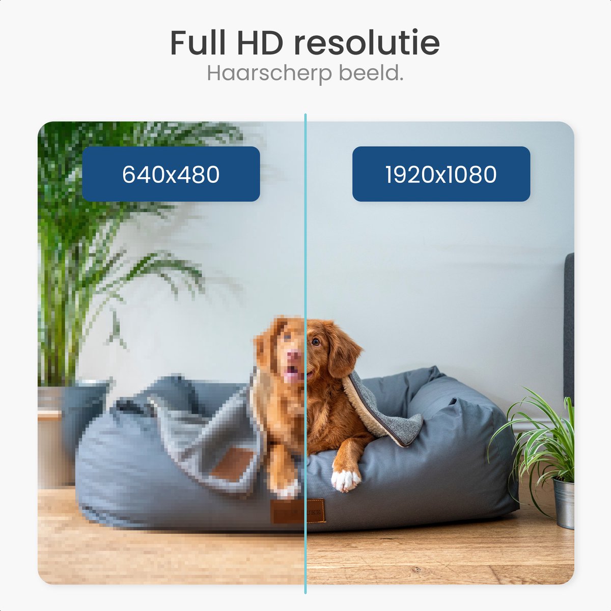 Huisdiercamera Full HD