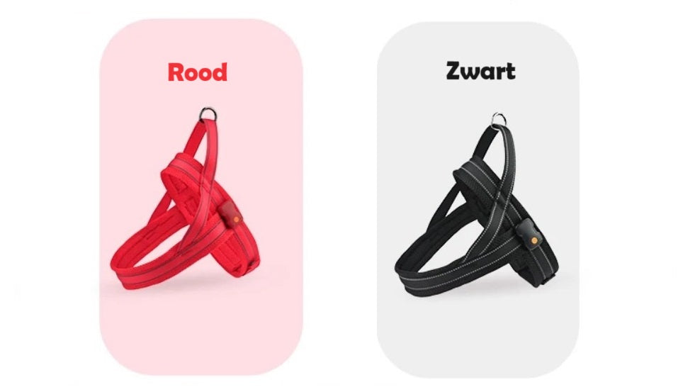 GlowGuard LED verlichte Hondenharnas | Zwart