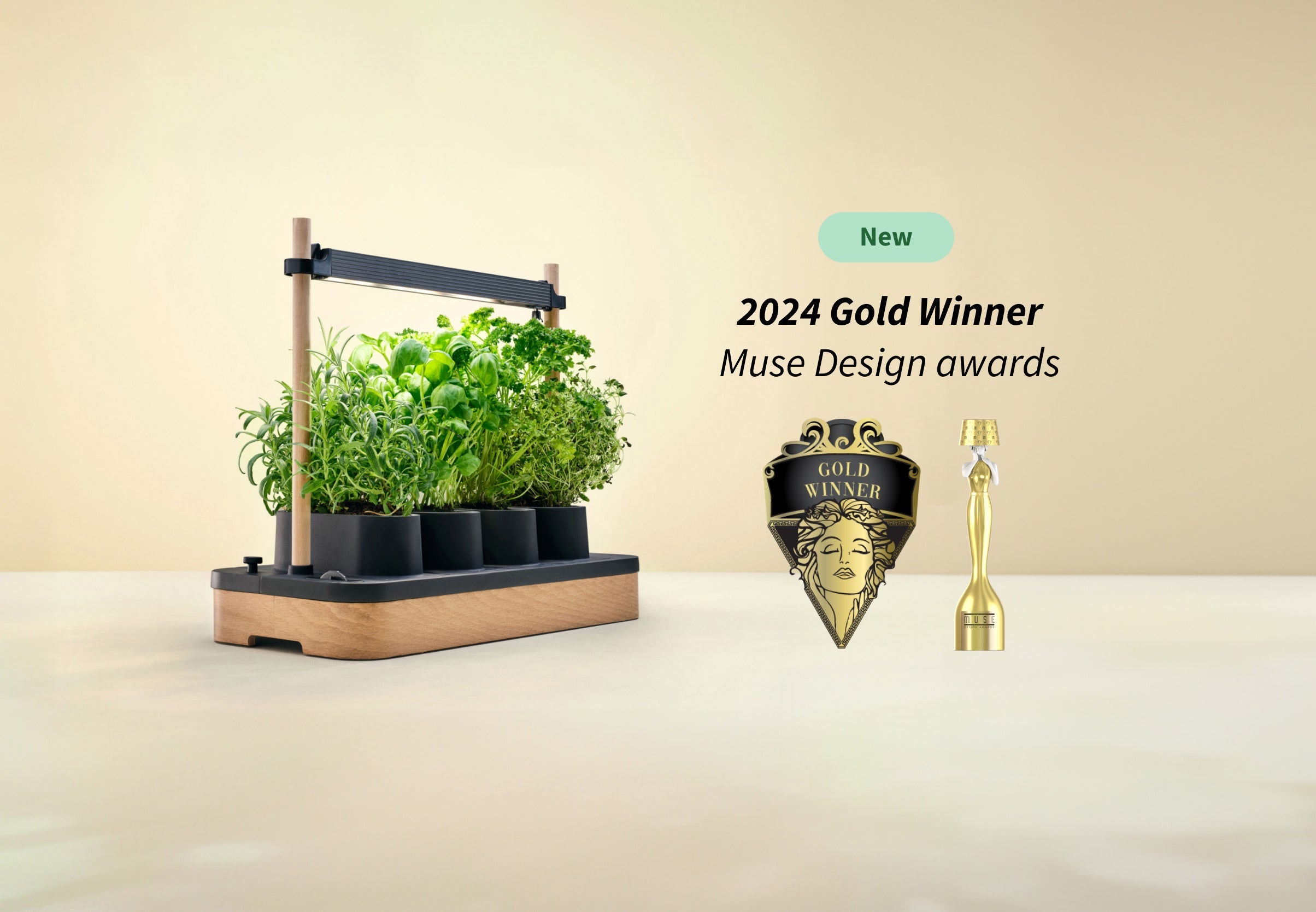 Auk Mini Bundle - modernized.nl