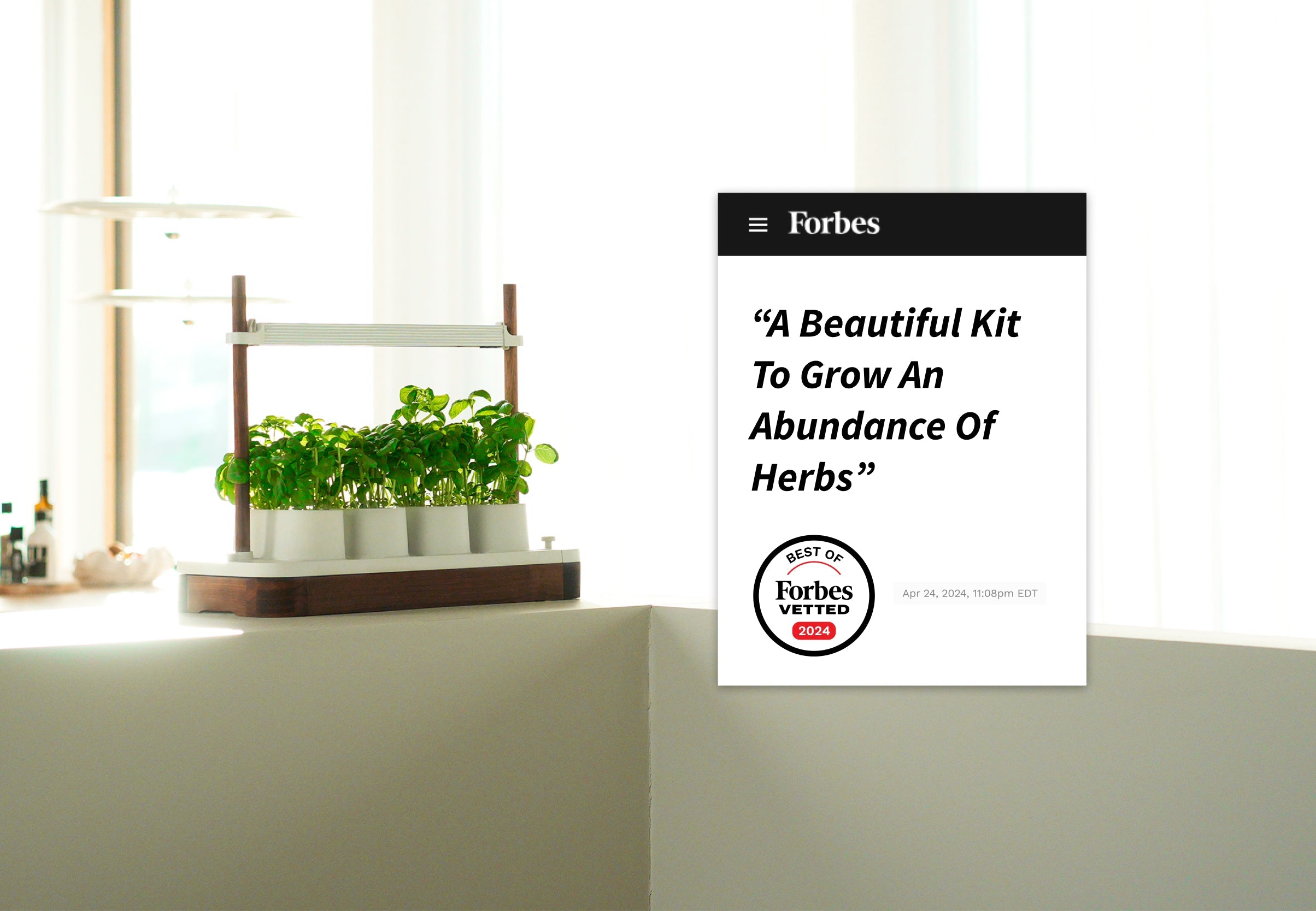 Auk Mini Bundle - modernized.nl