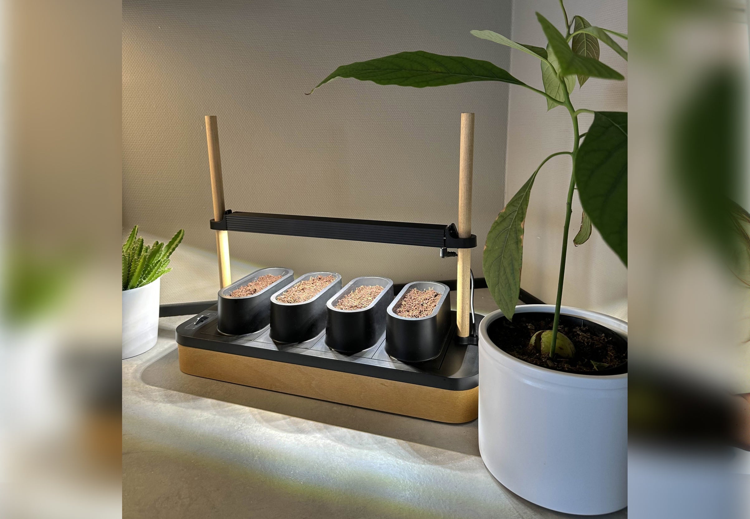 Auk Mini Bundle - modernized.nl