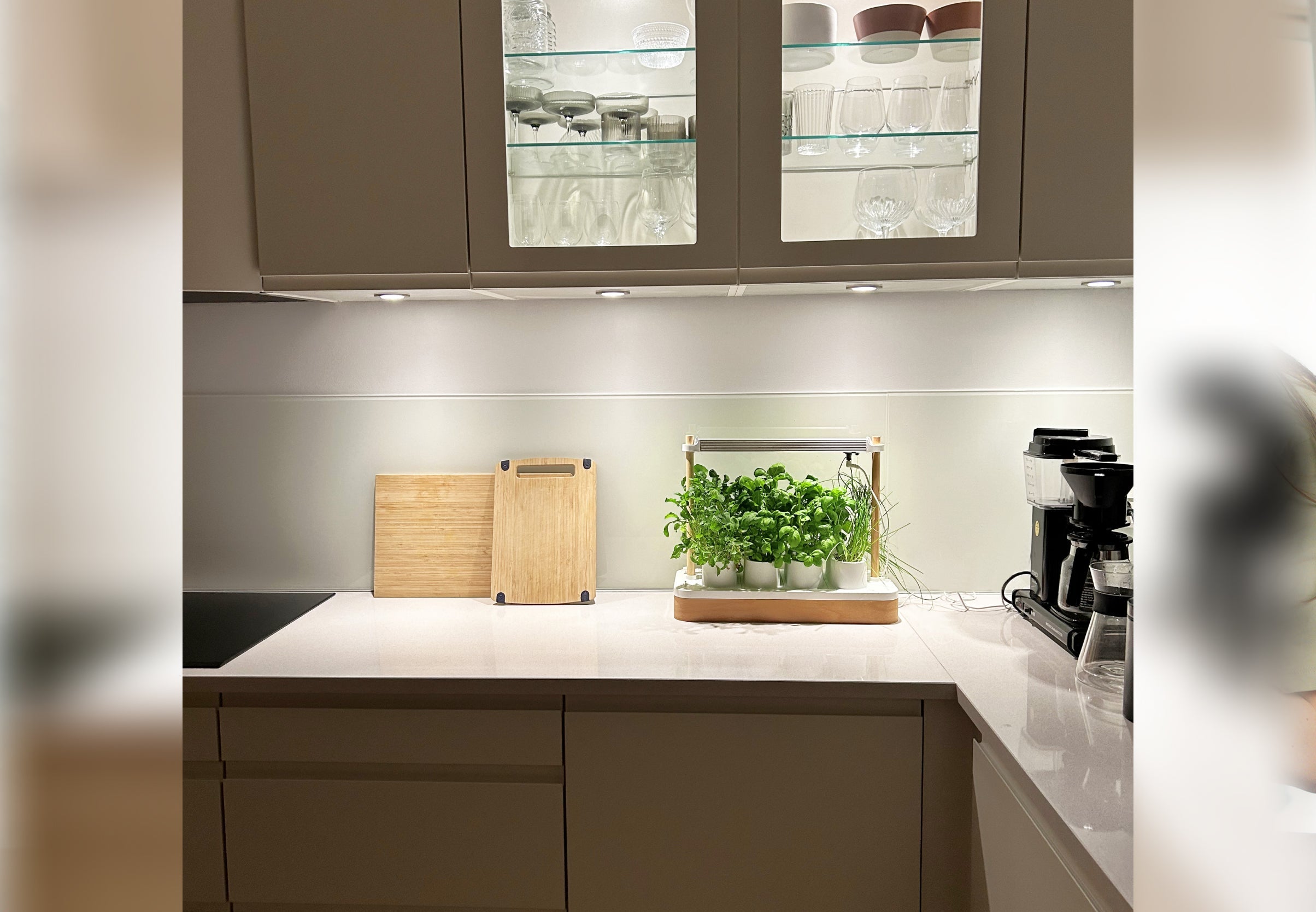 Auk Mini Bundle - modernized.nl