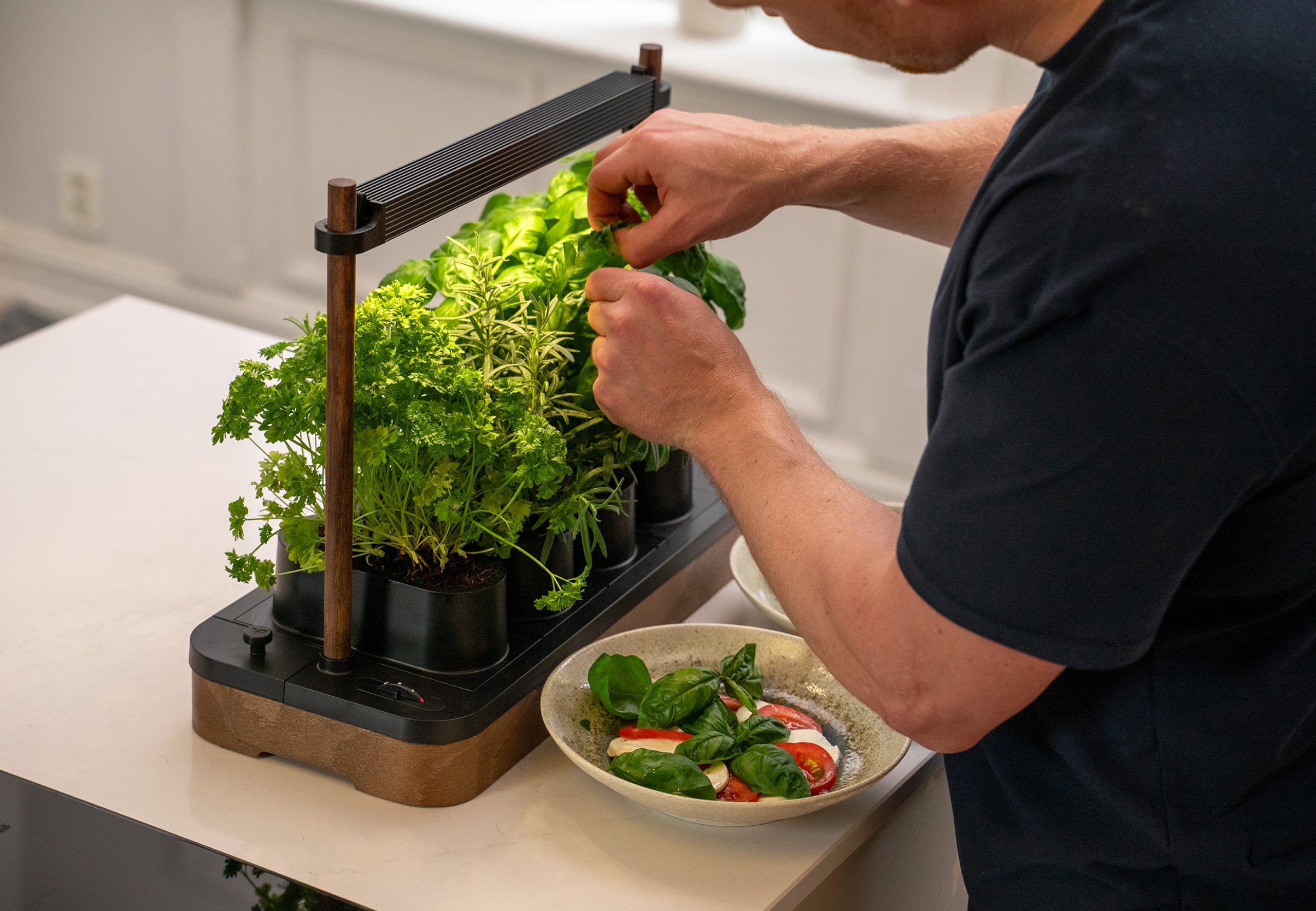 Auk Mini Bundle - modernized.nl