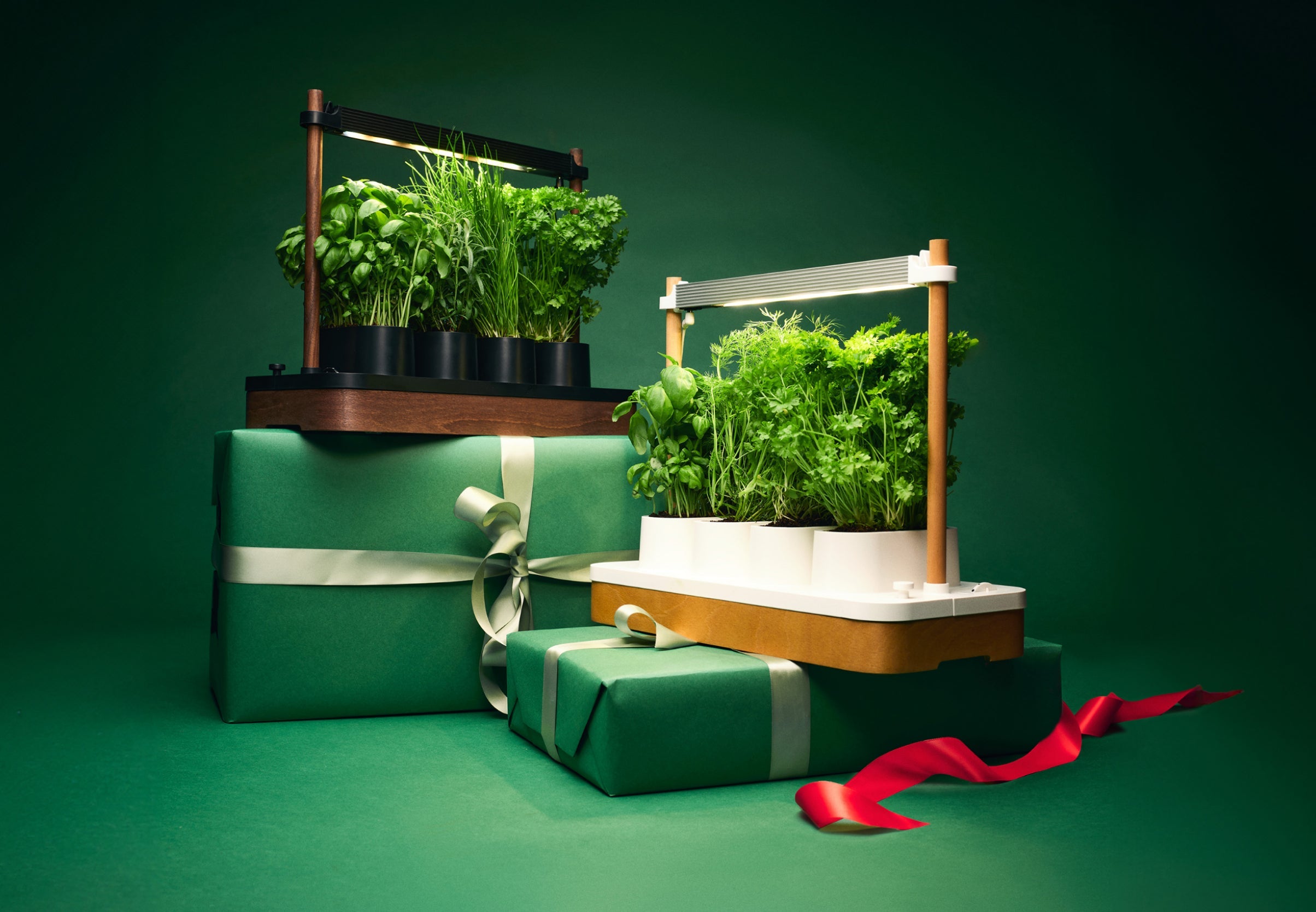 Auk Mini Bundle - modernized.nl