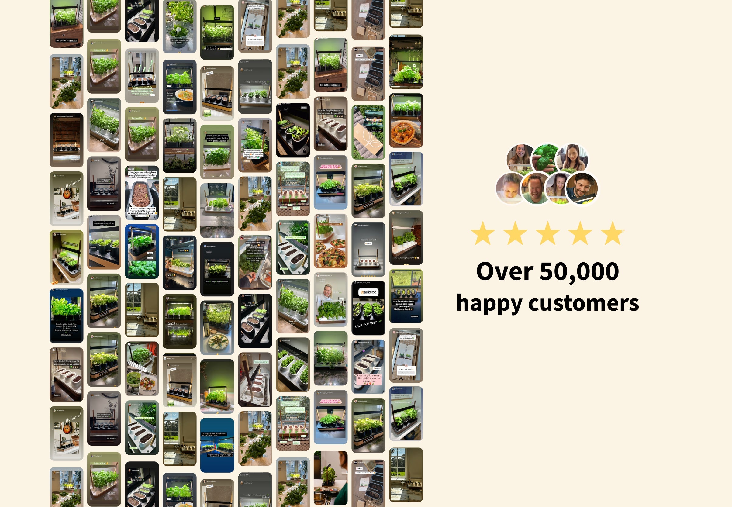 Auk Mini Bundle - modernized.nl