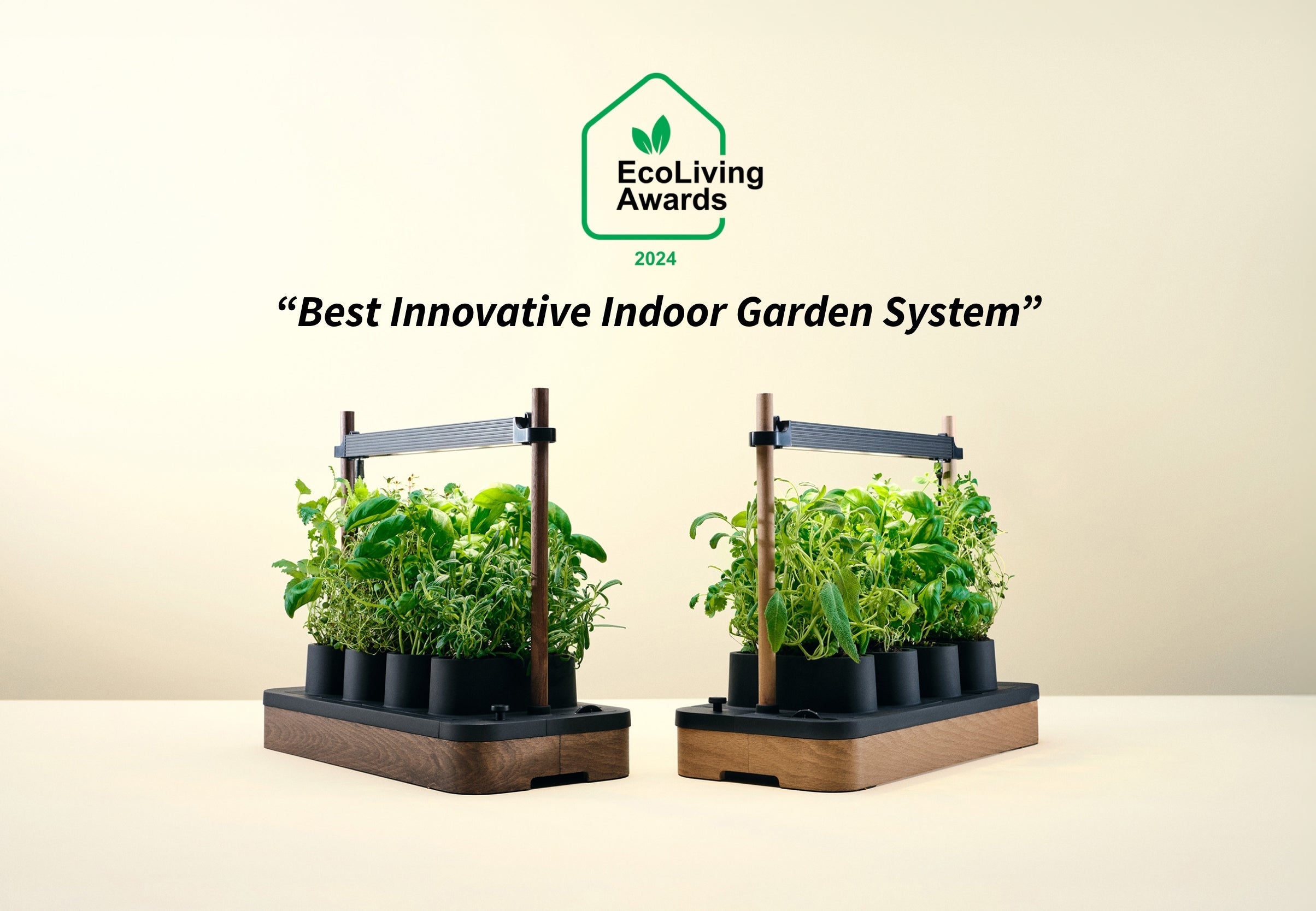 Auk Mini Bundle - modernized.nl