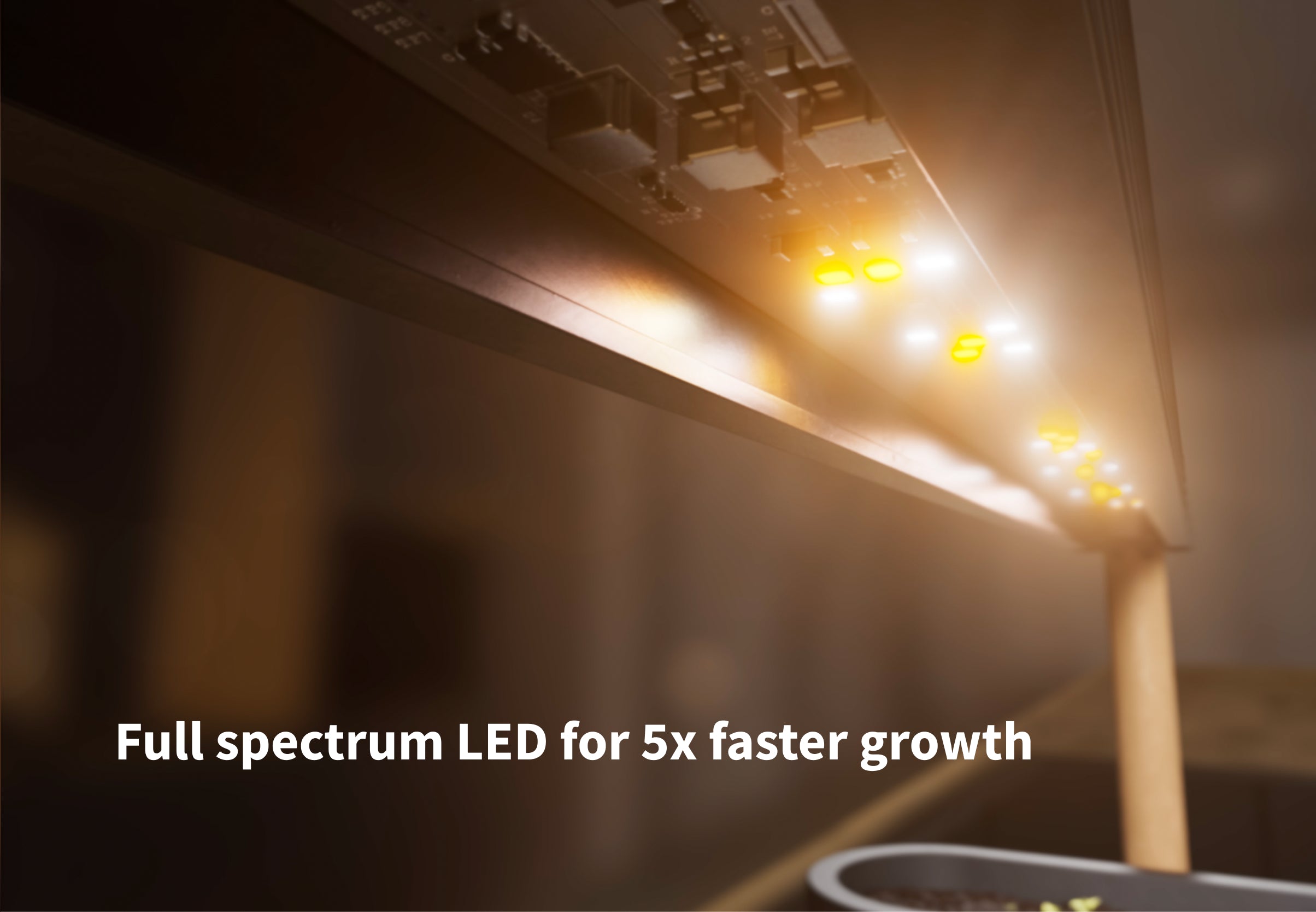 Auk Mini Bundle - modernized.nl