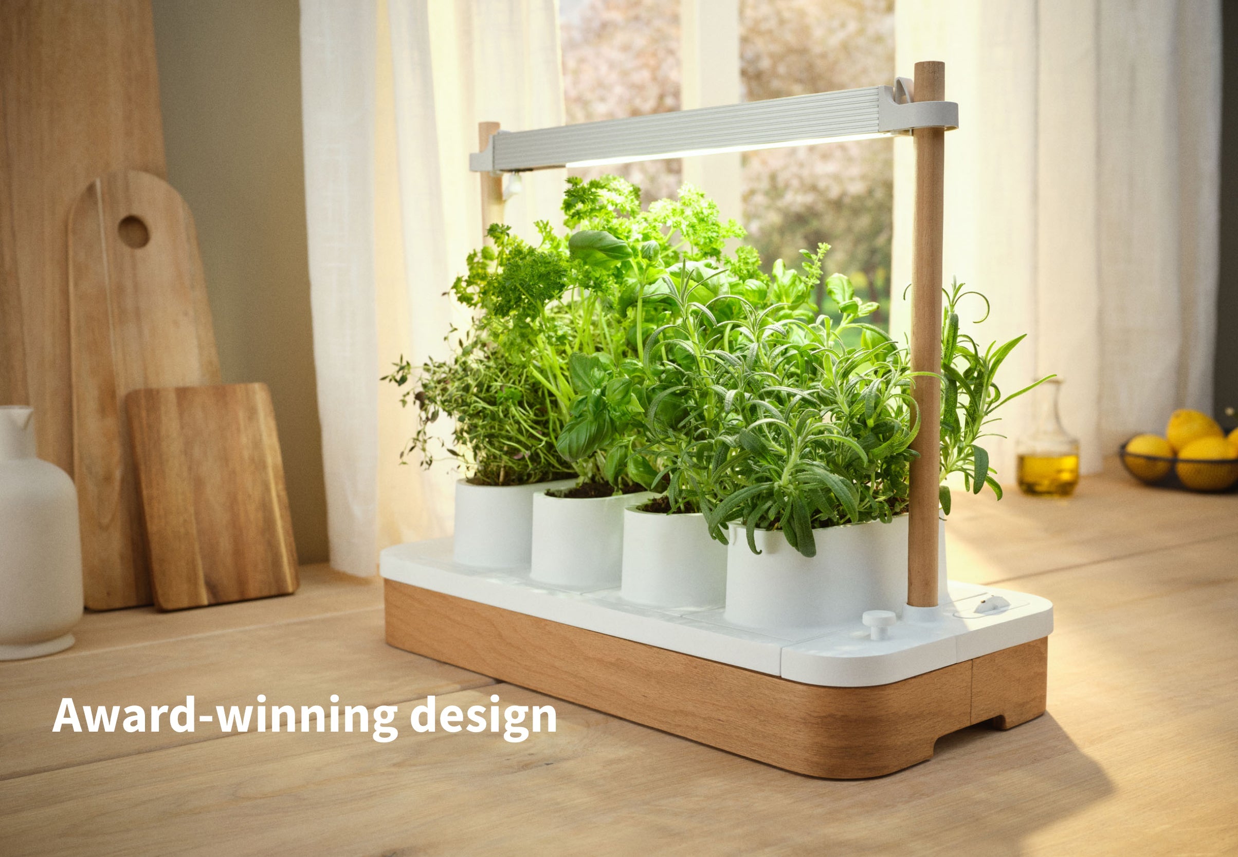 Auk Mini Bundle - modernized.nl