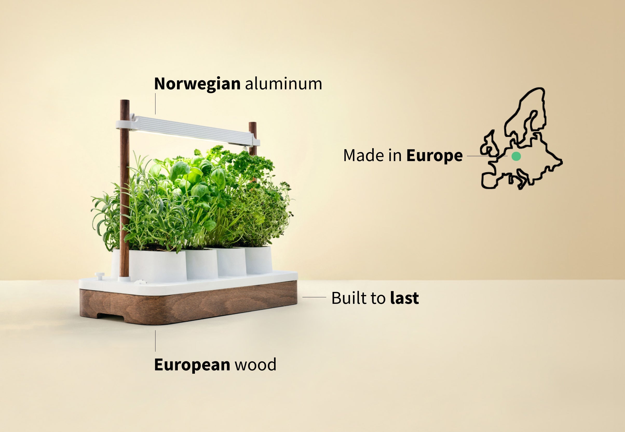 Auk Mini Bundle - modernized.nl