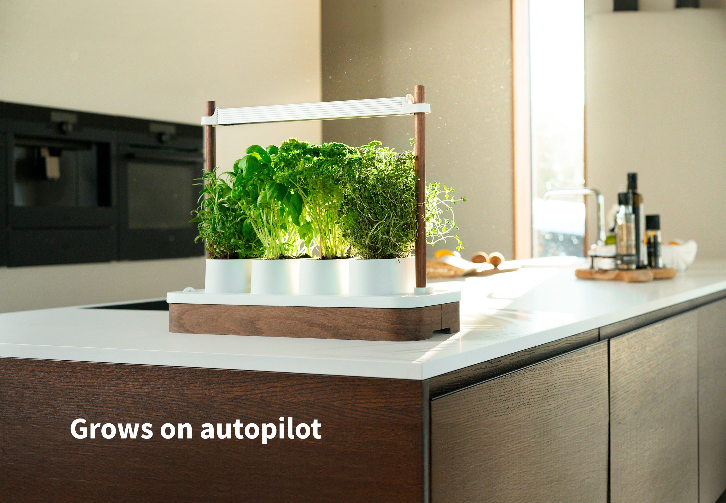 Auk Mini Bundle - modernized.nl