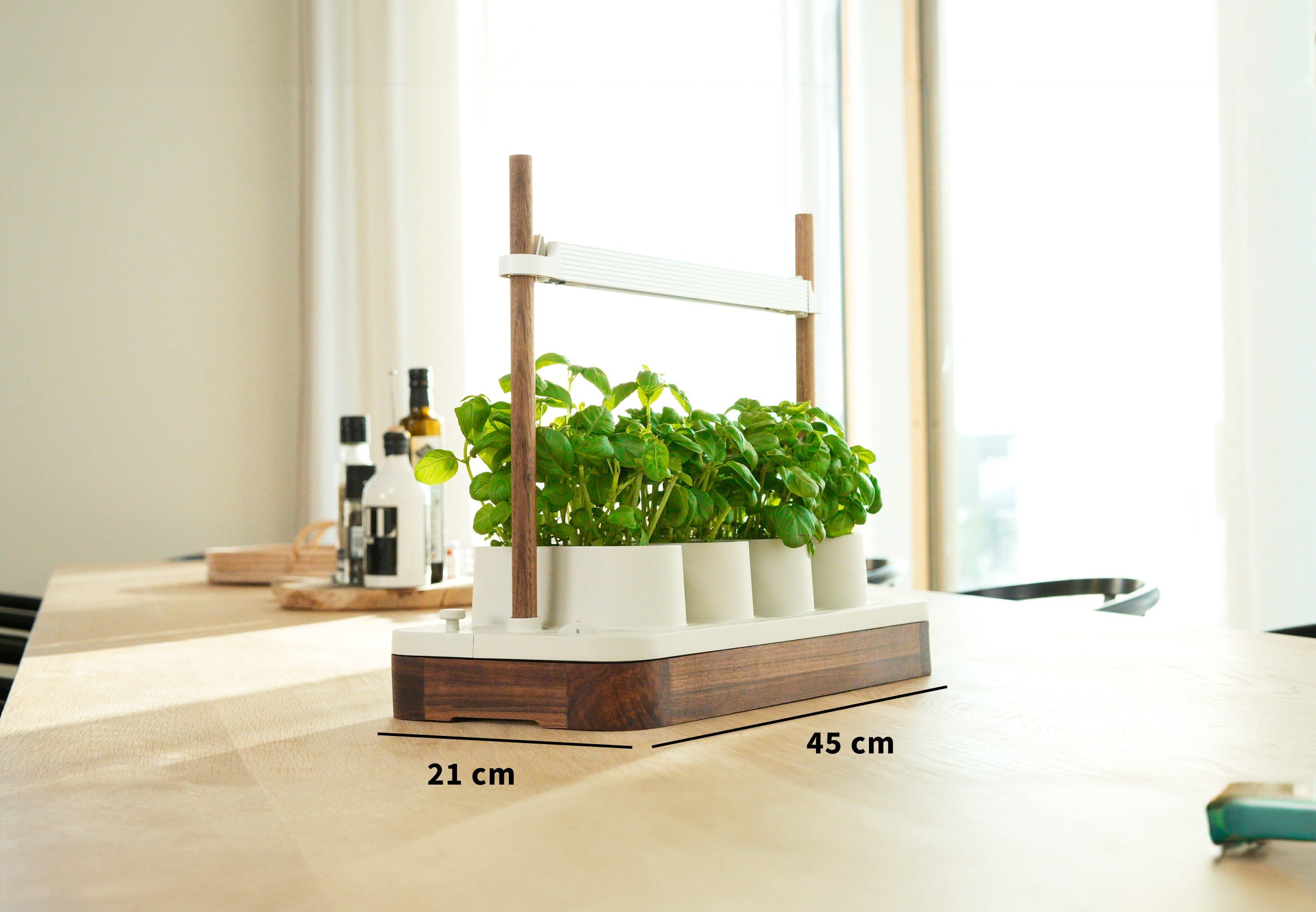 Auk Mini Bundle - modernized.nl