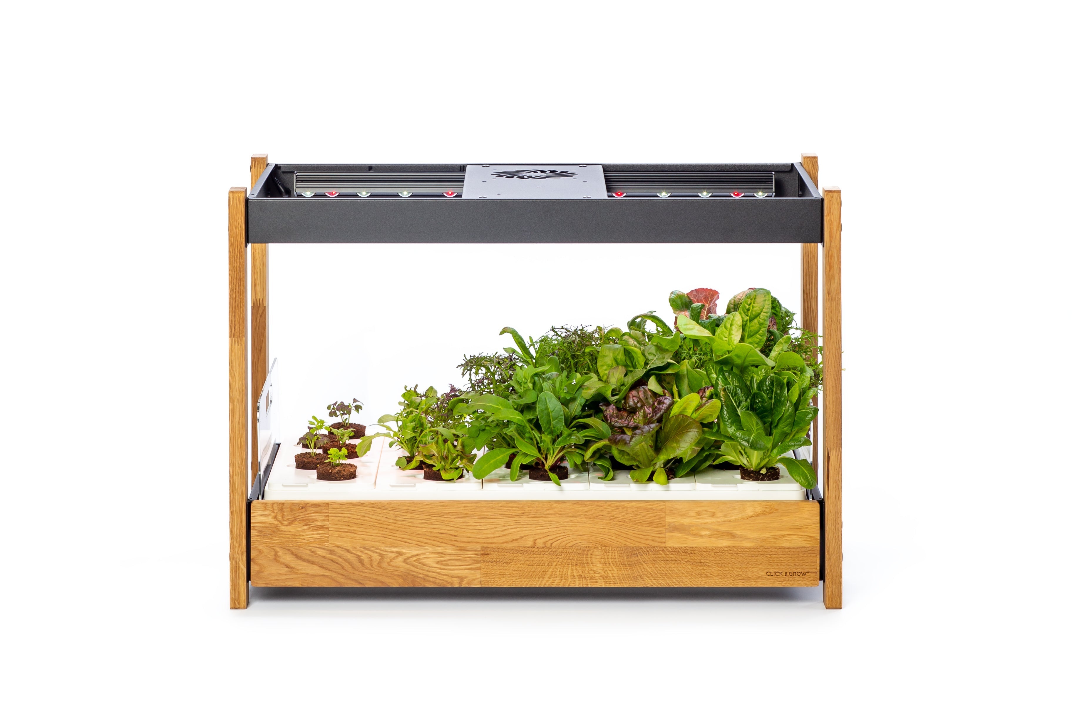 The Ultimate Click & Grow 25: Your Smart Indoor Garden Solution - modernized.nl