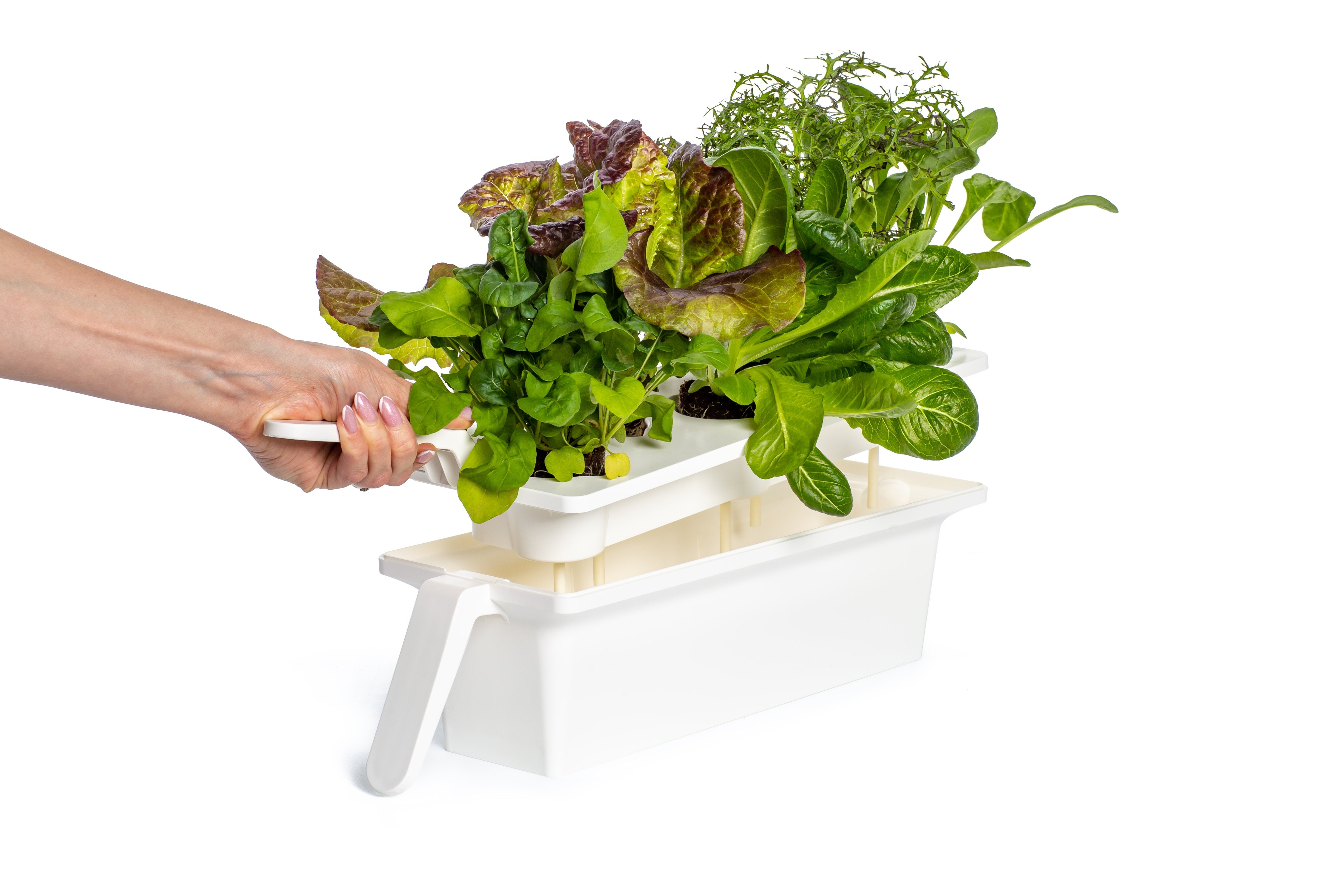 The Ultimate Click & Grow 25: Your Smart Indoor Garden Solution - modernized.nl