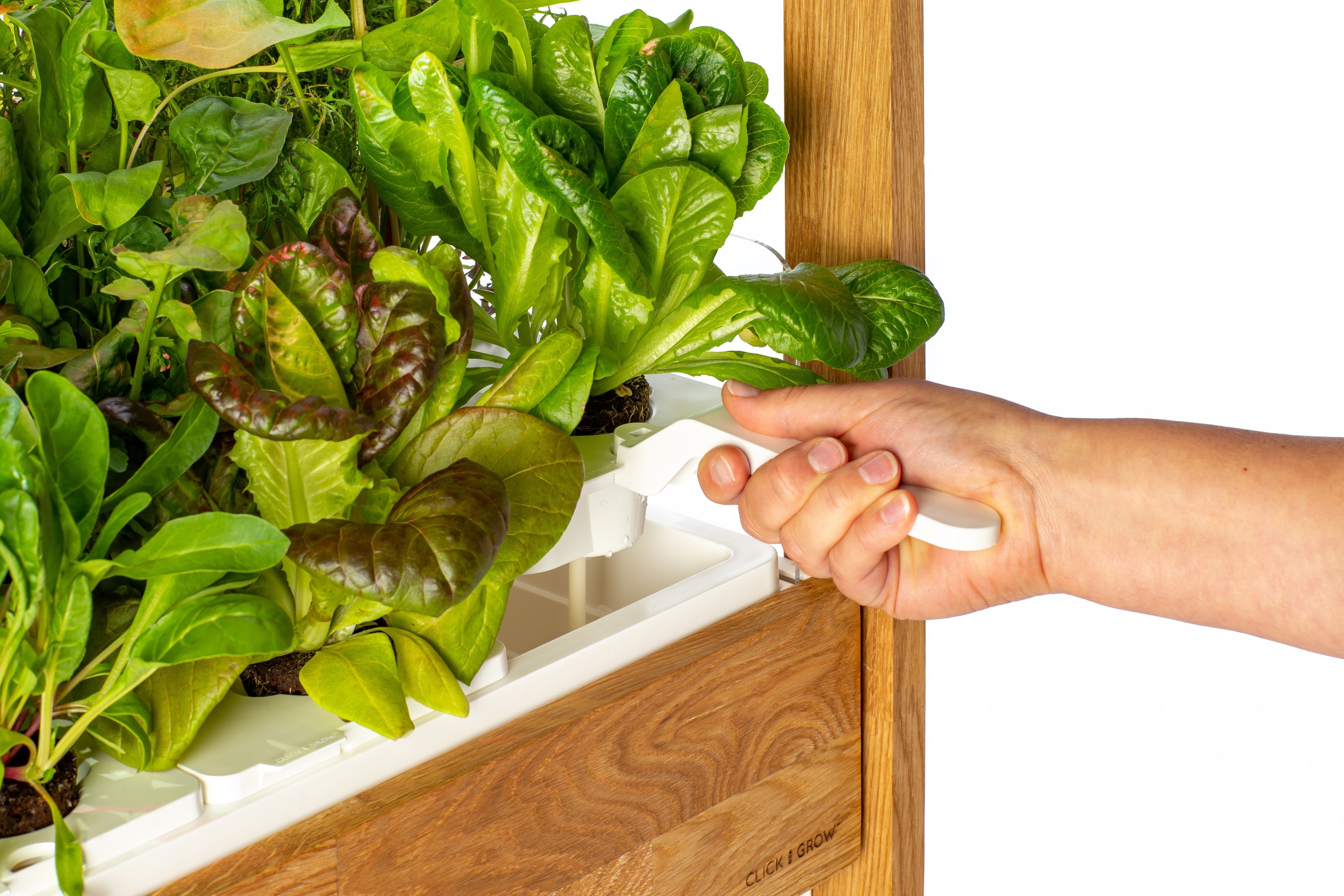 The Ultimate Click & Grow 25: Your Smart Indoor Garden Solution - modernized.nl