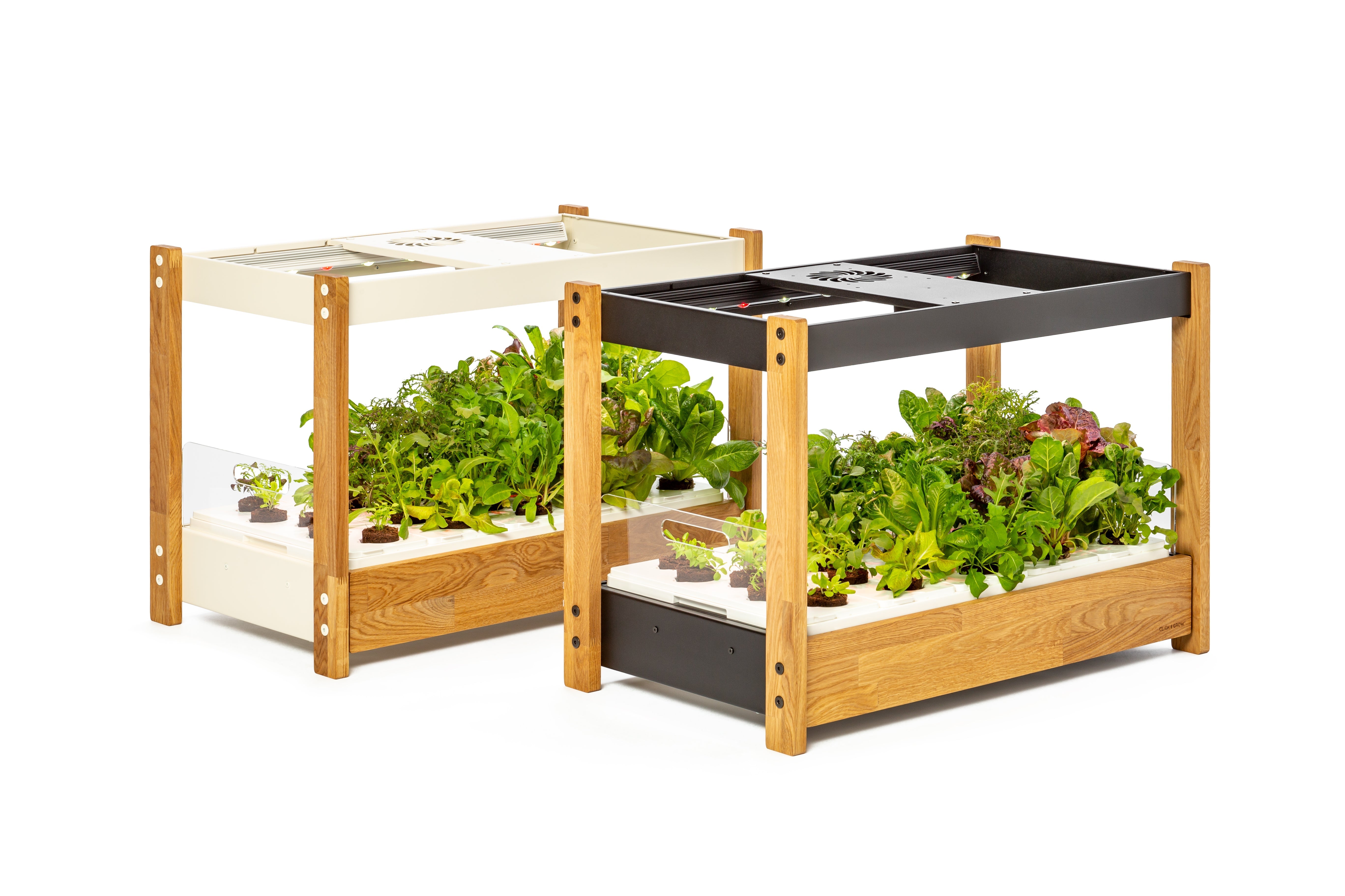 The Ultimate Click & Grow 25: Your Smart Indoor Garden Solution - modernized.nl