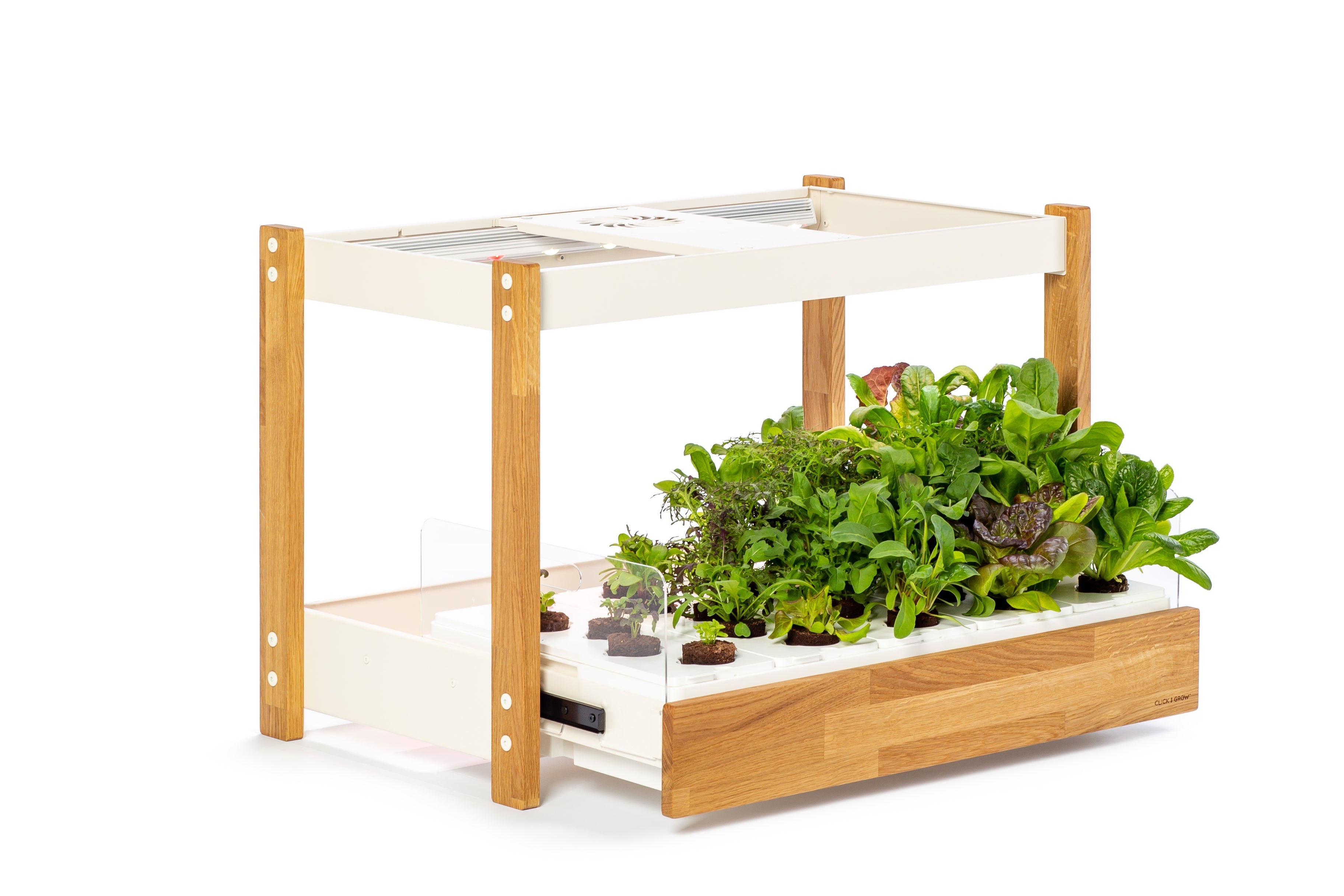 The Ultimate Click & Grow 25: Your Smart Indoor Garden Solution - modernized.nl