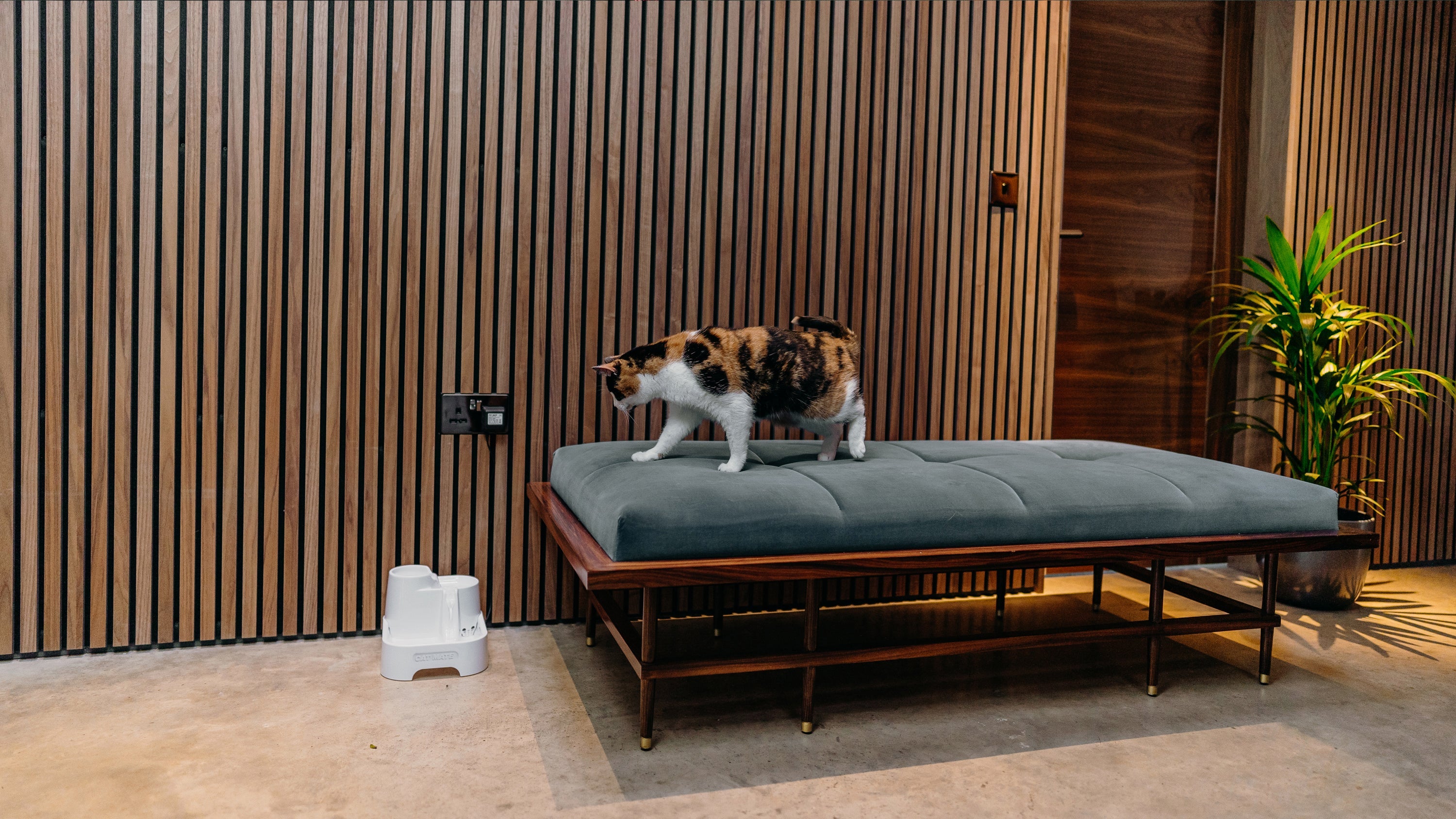 Cat Mate Triple-Action Pet Fountain β Elegant White (Model 335E) - modernized.nl