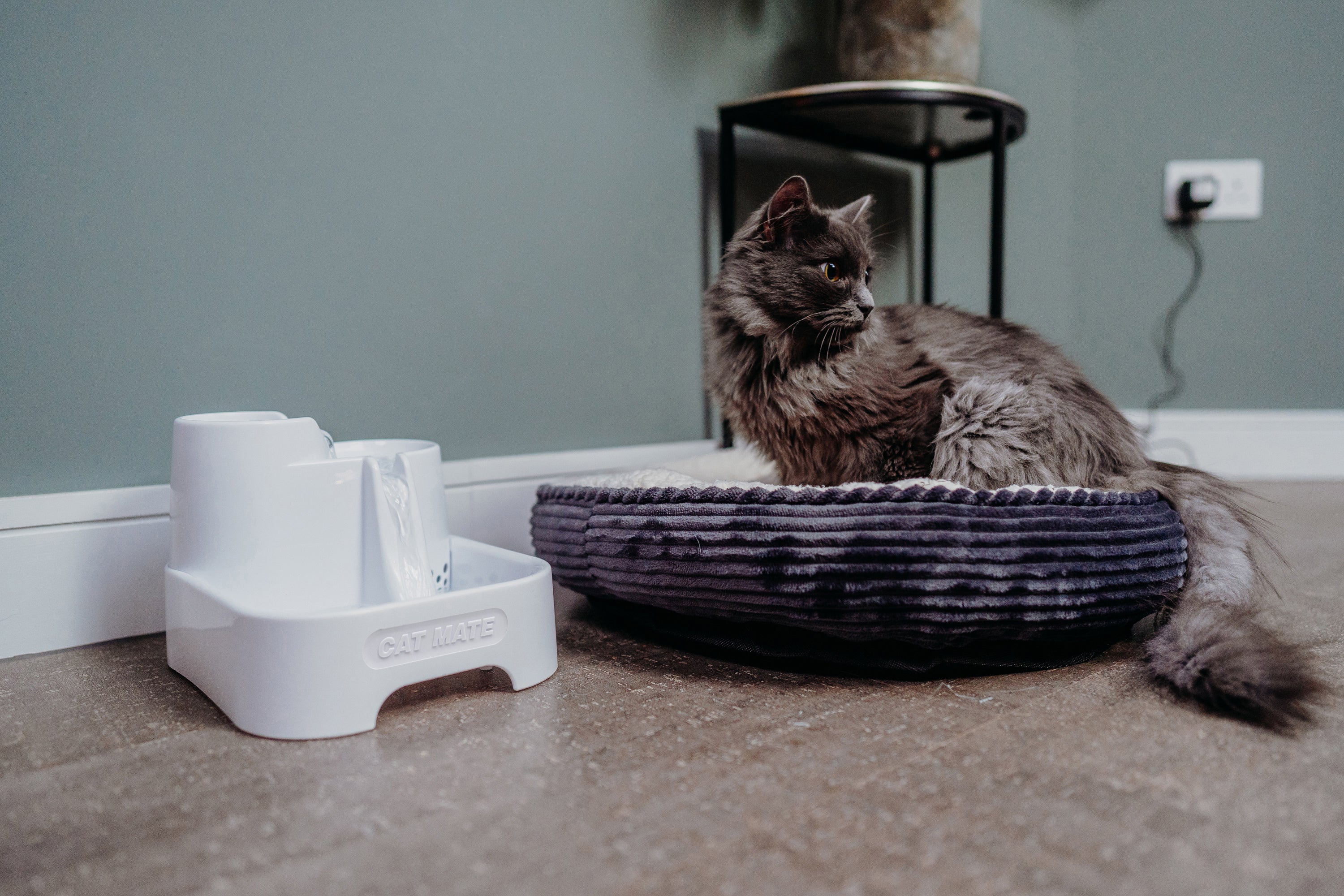 Cat Mate Triple-Action Pet Fountain β Elegant White (Model 335E) - modernized.nl