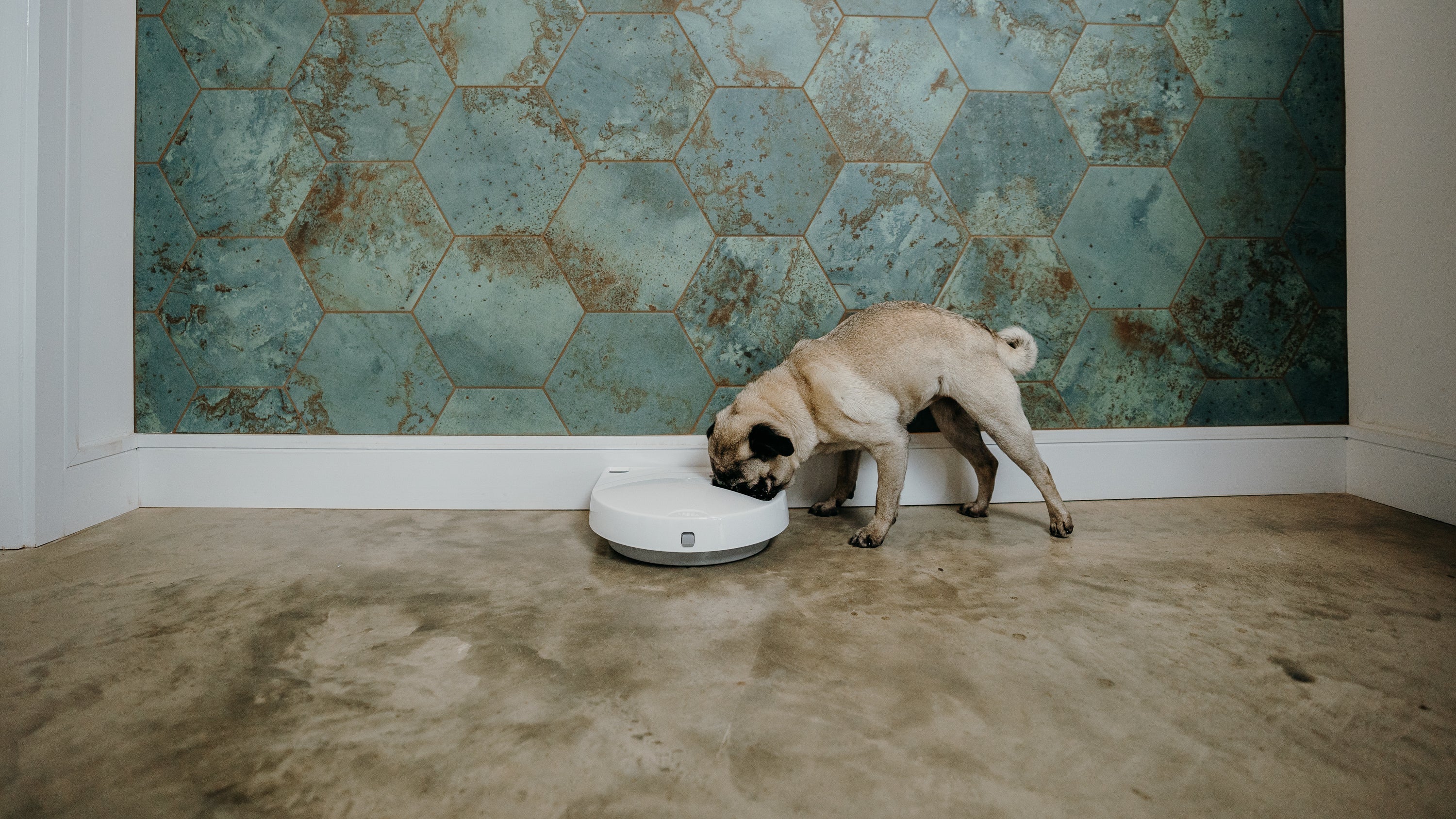 Cat Mate Three-meal Automatic Pet Feeder with Digital Timer (C300) - modernized.nl