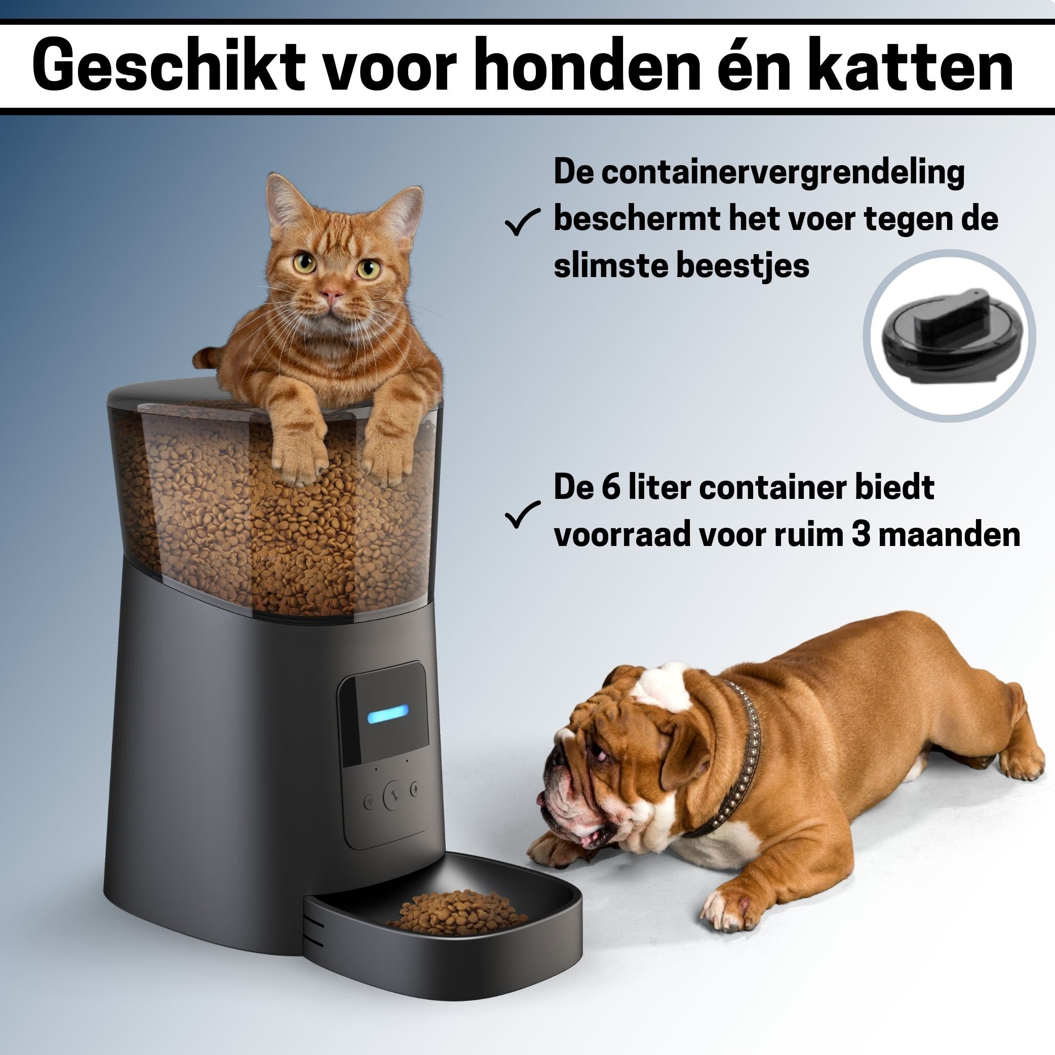 Slimme Voerautomaat voor Katten - App & Geluid - Automatische Voerbak in Elegant Zwart - modernized.nl