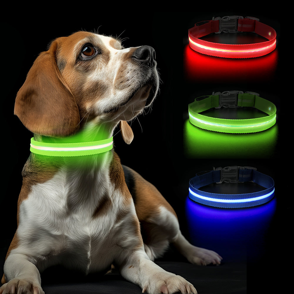 GlowGuard Lichtgevende LED Hondenhalsband | Groen