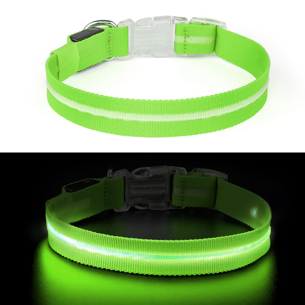 GlowGuard Lichtgevende LED Hondenhalsband | Groen