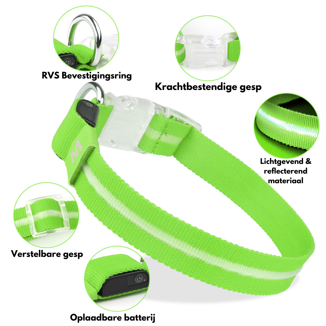 GlowGuard Lichtgevende LED Hondenhalsband | Groen