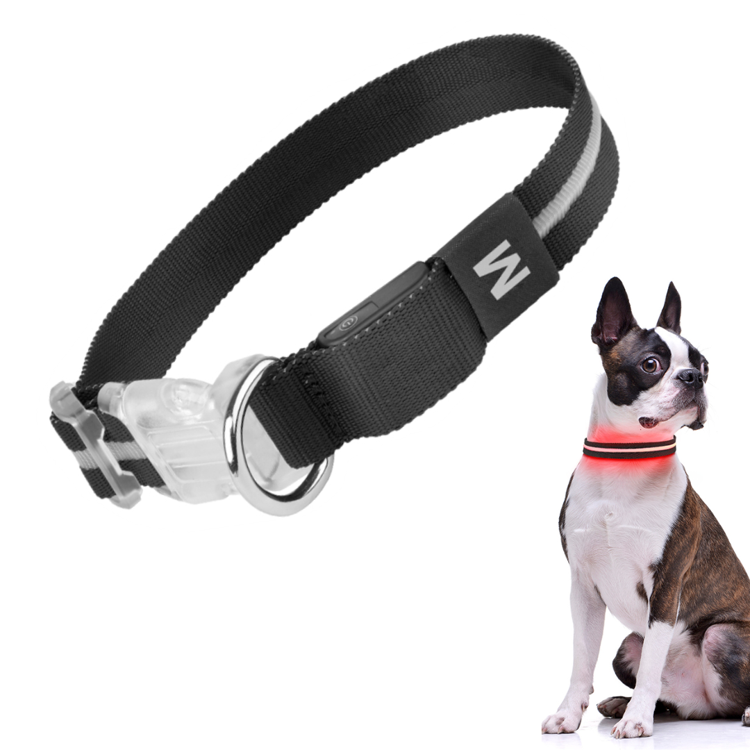 GlowGuard Lichtgevende LED Hondenhalsband | Zwart