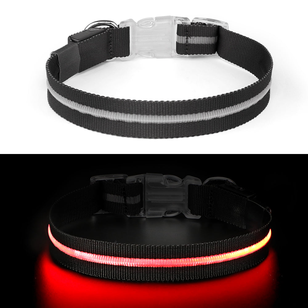 GlowGuard Lichtgevende LED Hondenhalsband | Zwart