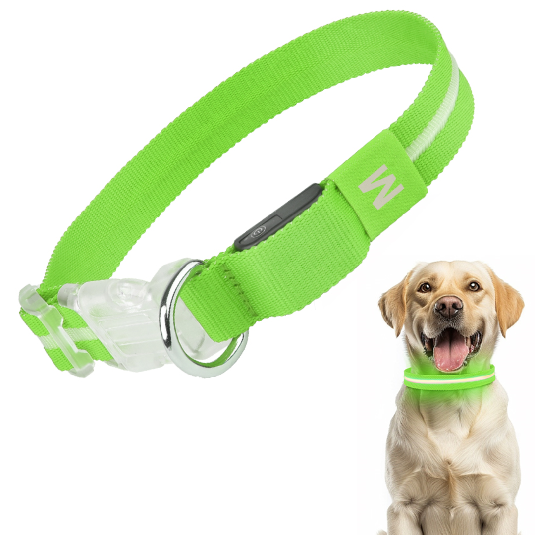 GlowGuard Lichtgevende LED Hondenhalsband | Groen