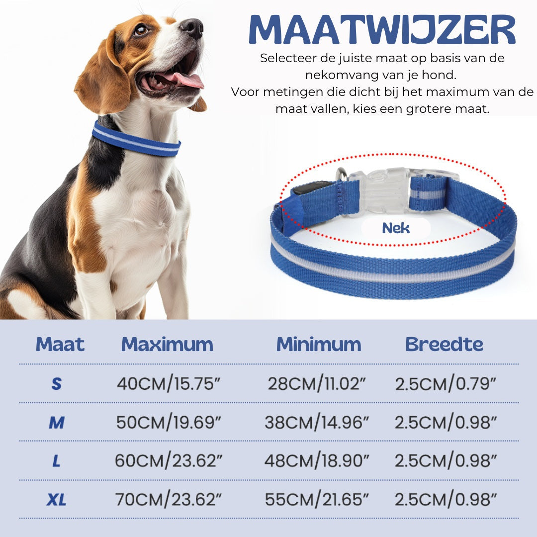 GlowGuard LED verlichte Hondenhalsband | Blauw