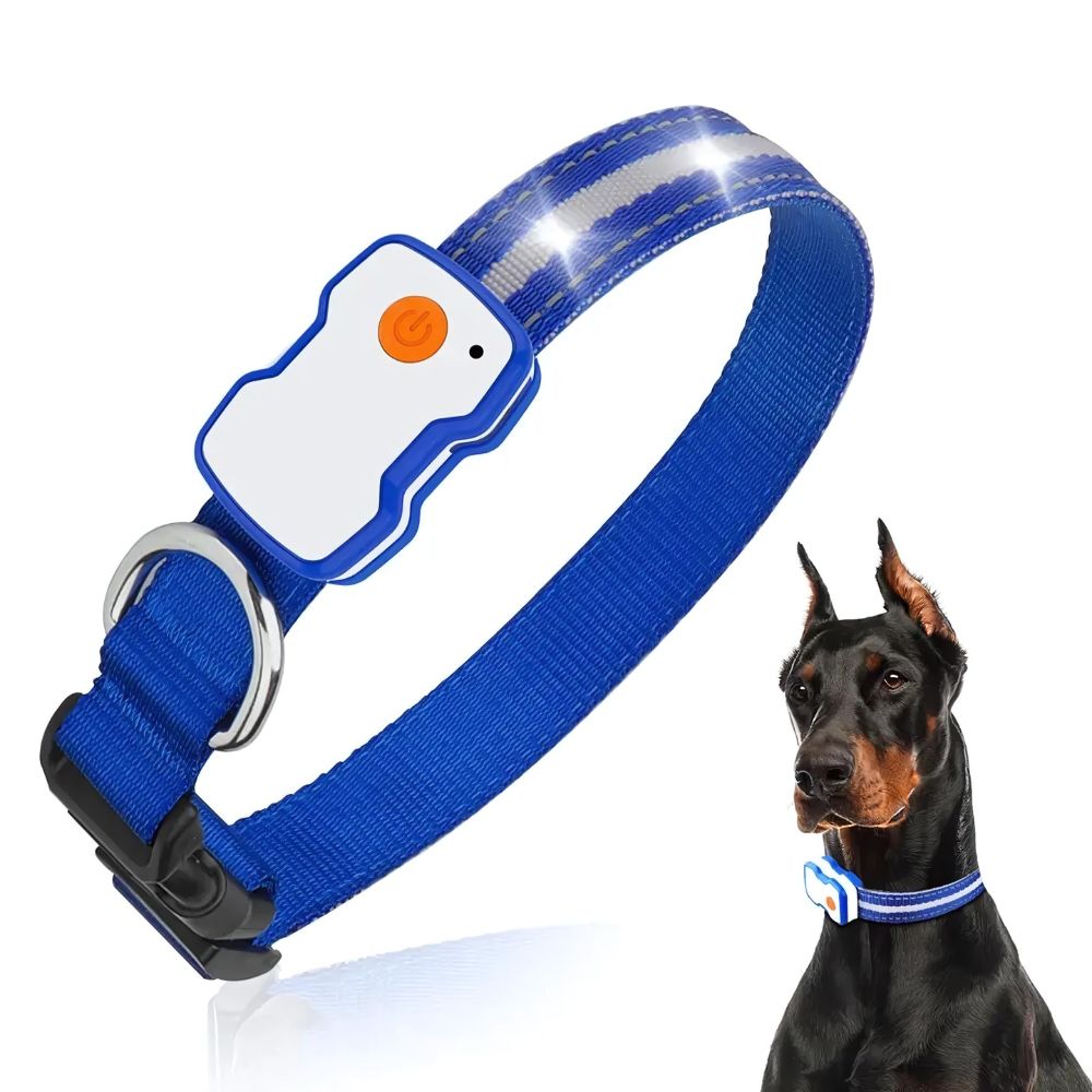 GlowGuard LED verlichte Hondenhalsband | Blauw