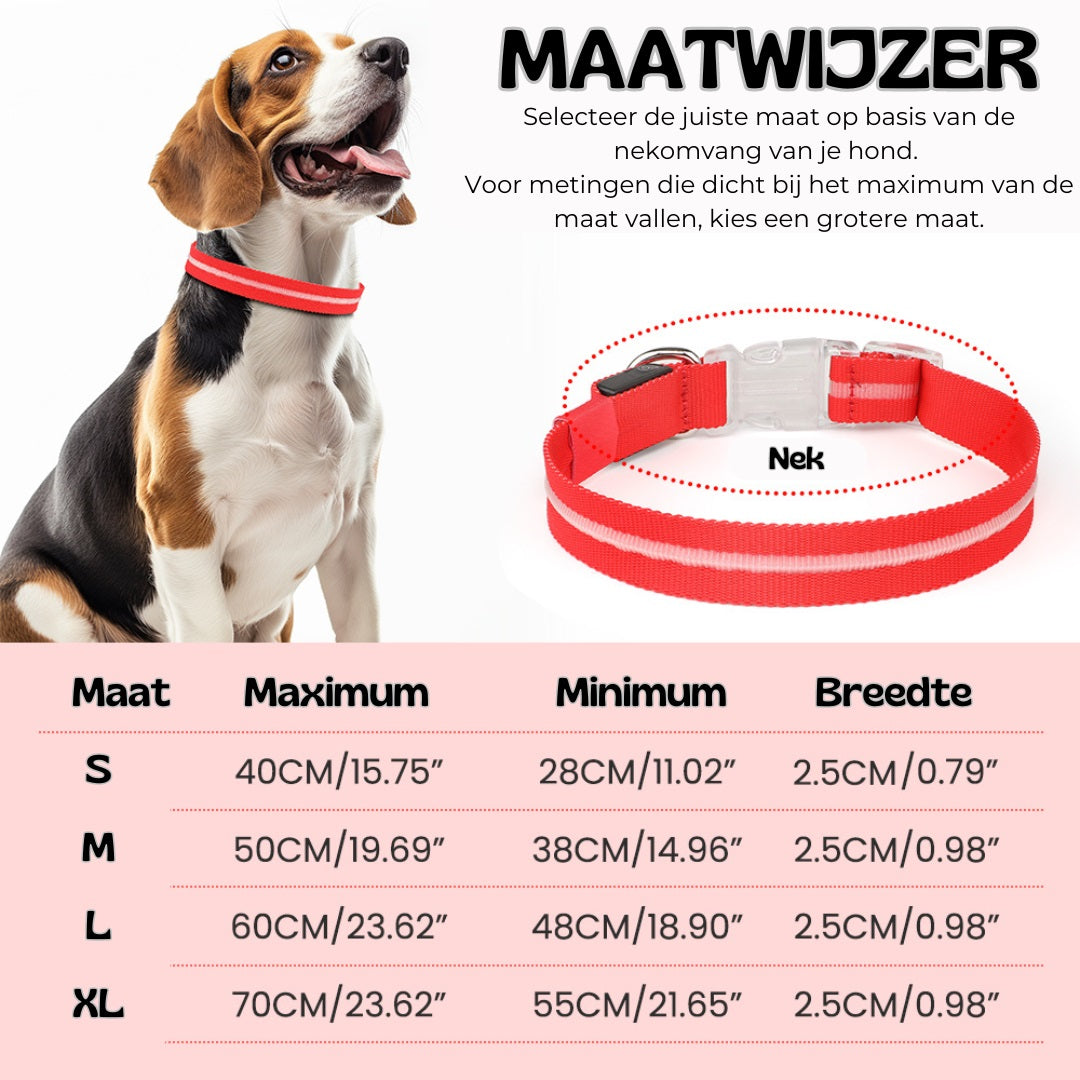 GlowGuard LED verlichte Hondenhalsband hond | Roze