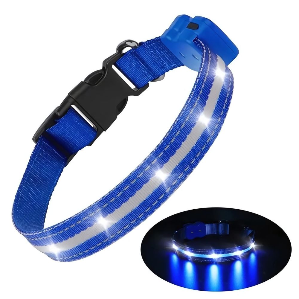 GlowGuard LED verlichte Hondenhalsband | Blauw