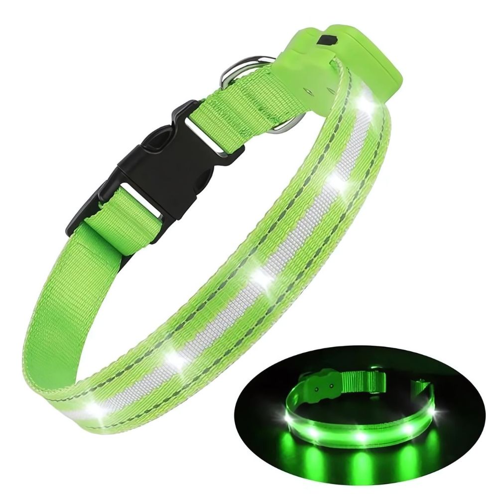 GlowGuard LED Hondenhalsband | Groen