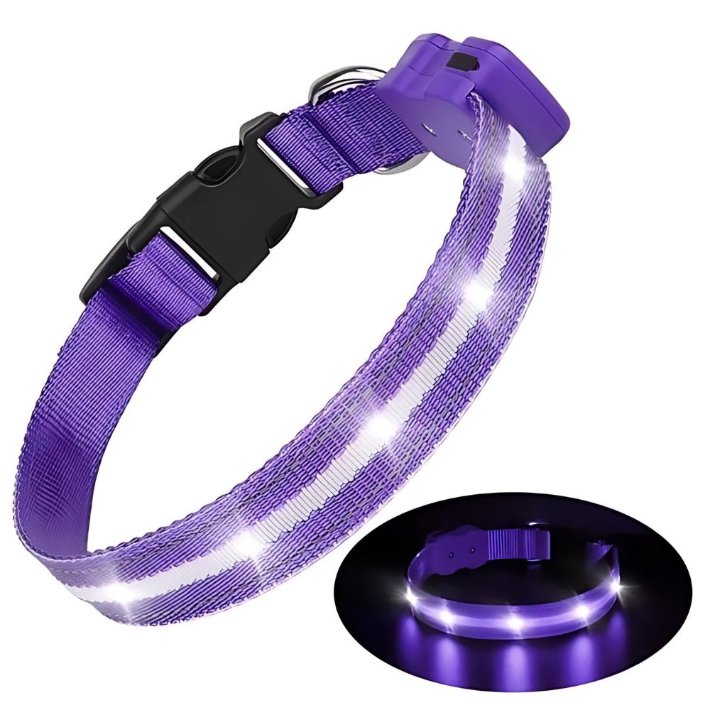 GlowGuard LED Hondenhalsband | Paars