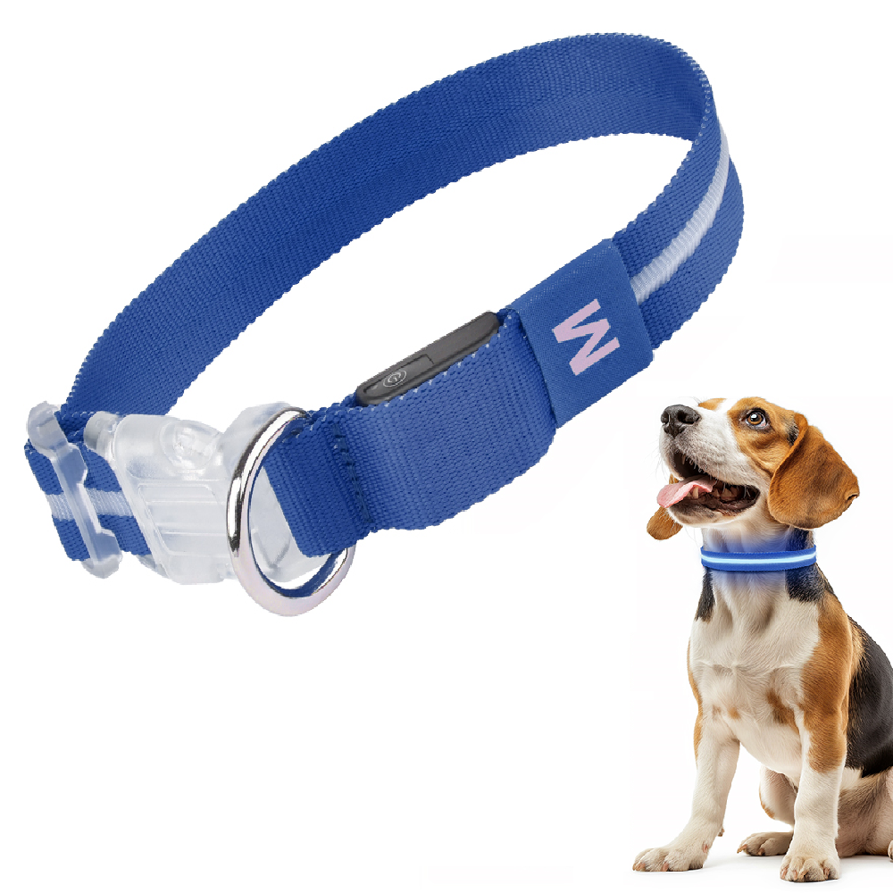 GlowGuard Lichtgevende LED Hondenhalsband | Blauw