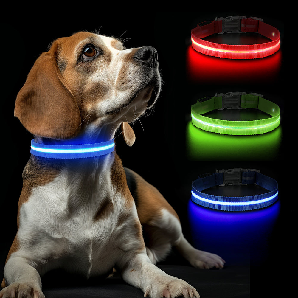 GlowGuard Lichtgevende LED Hondenhalsband | Blauw
