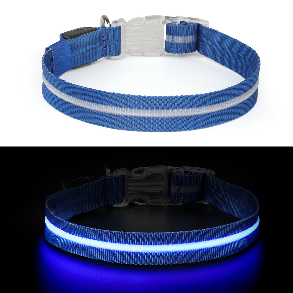 GlowGuard Lichtgevende LED Hondenhalsband | Blauw